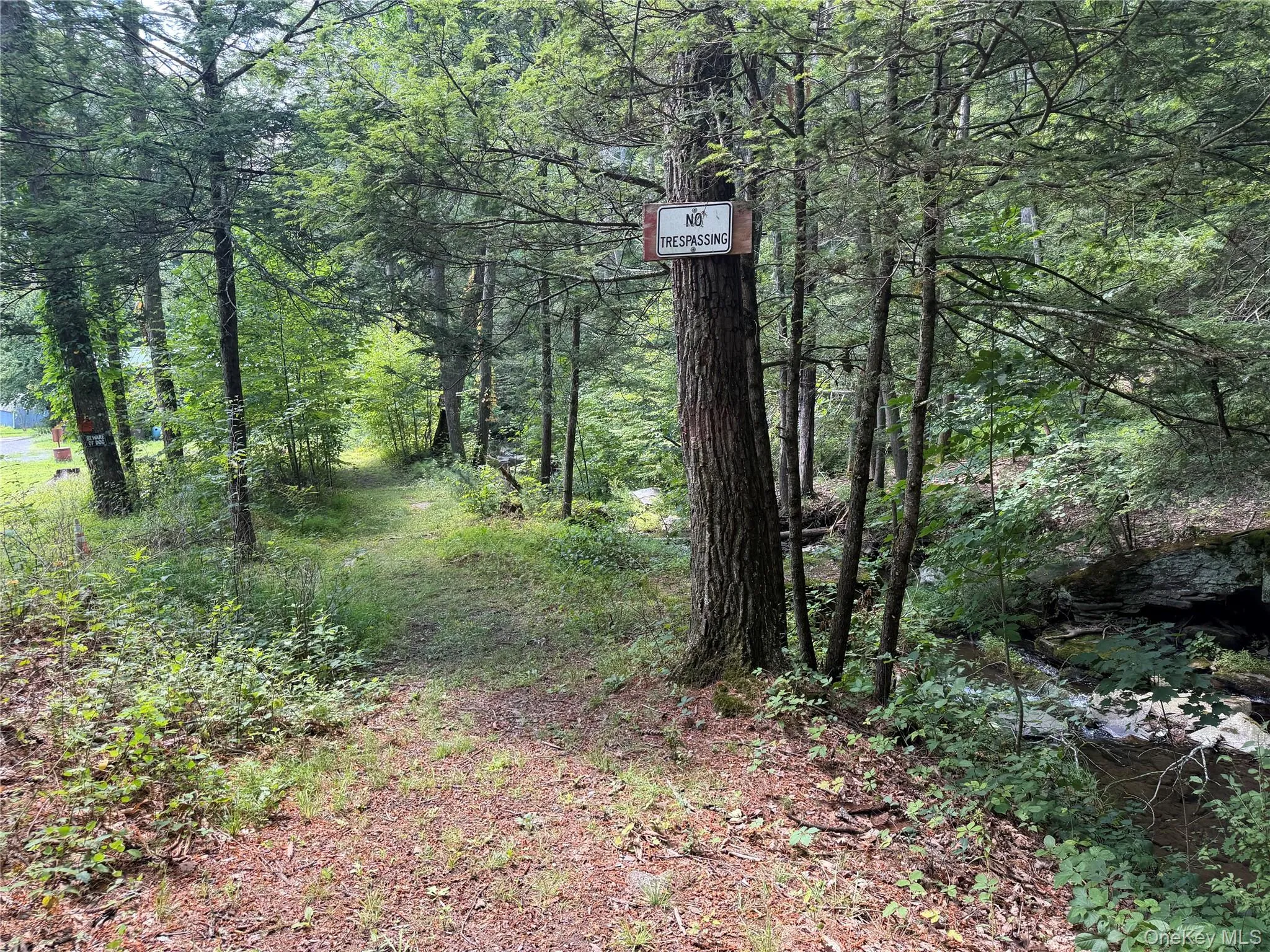 Path Path
