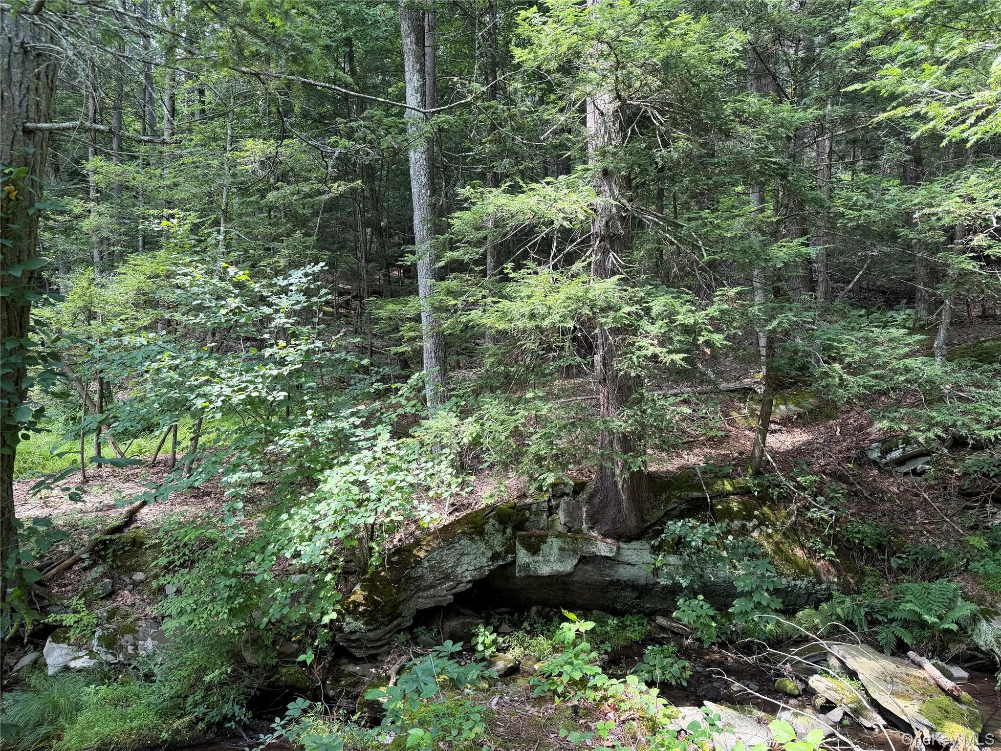 Rock ledges on the property Rock ledges on the property