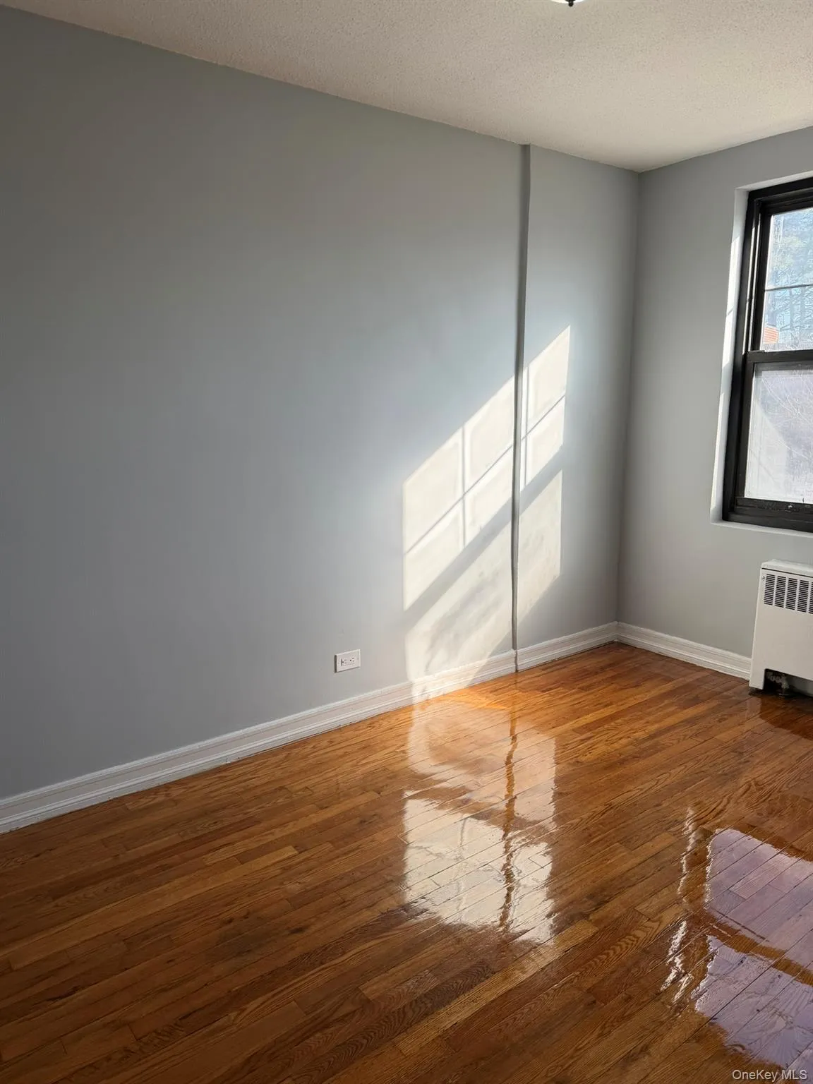70-43 Park Drive East B, New York, NY, 2 Bedrooms Bedrooms, 3 Rooms Rooms,1 BathroomBathrooms,Residential,For Rent,B,0,1037304 70-43 Park Drive East B, New York, NY, 2 Bedrooms Bedrooms, 3 Rooms Rooms,1 BathroomBathrooms,Residential,For Rent,B,0,1037304