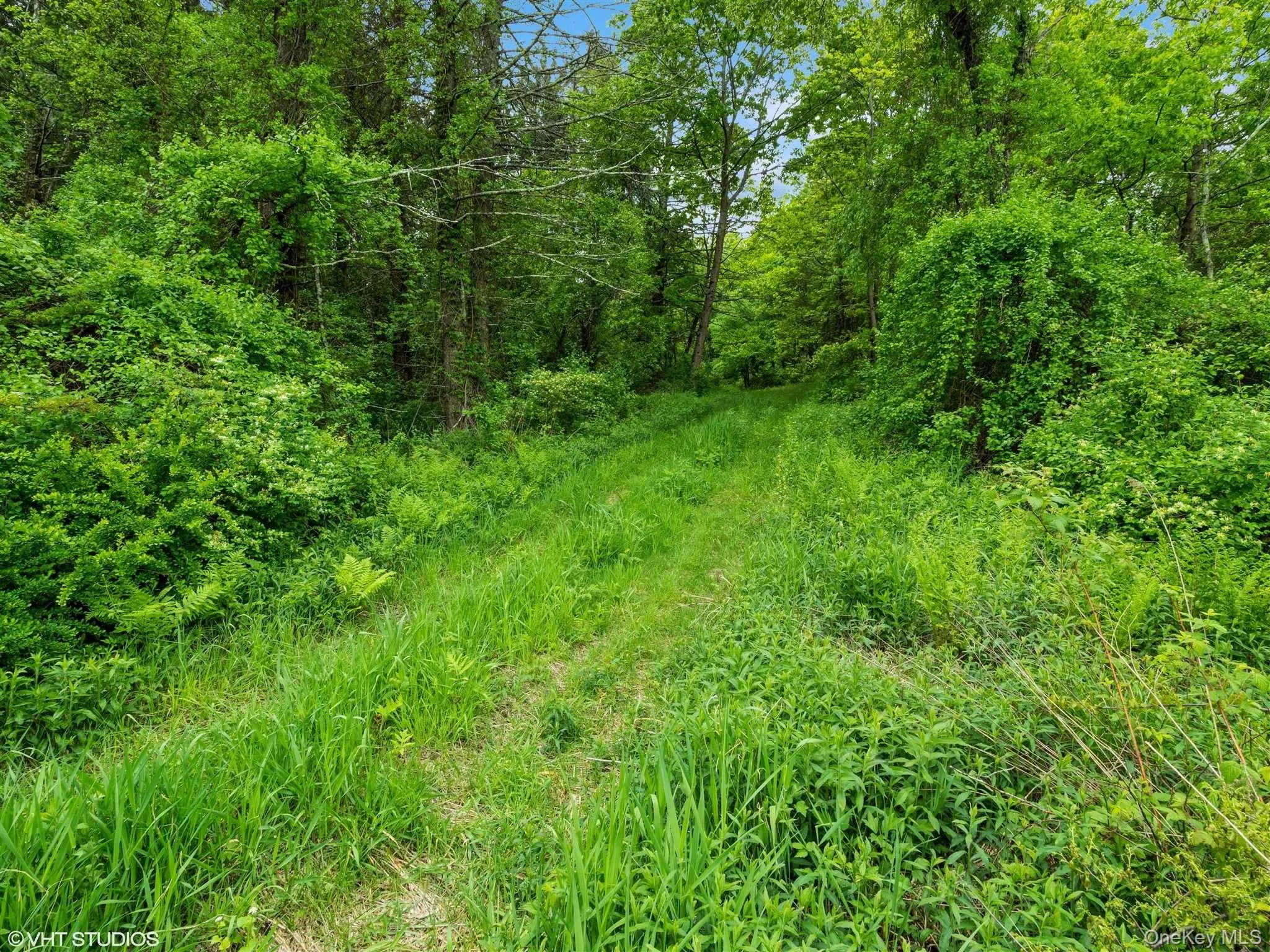 SKUNKS MISERY Lot 2 Road, North East, NY, ,Land,For Rent,SKUNKS MISERY Lot 2,0,1037317 SKUNKS MISERY Lot 2 Road, North East, NY, ,Land,For Rent,SKUNKS MISERY Lot 2,0,1037317