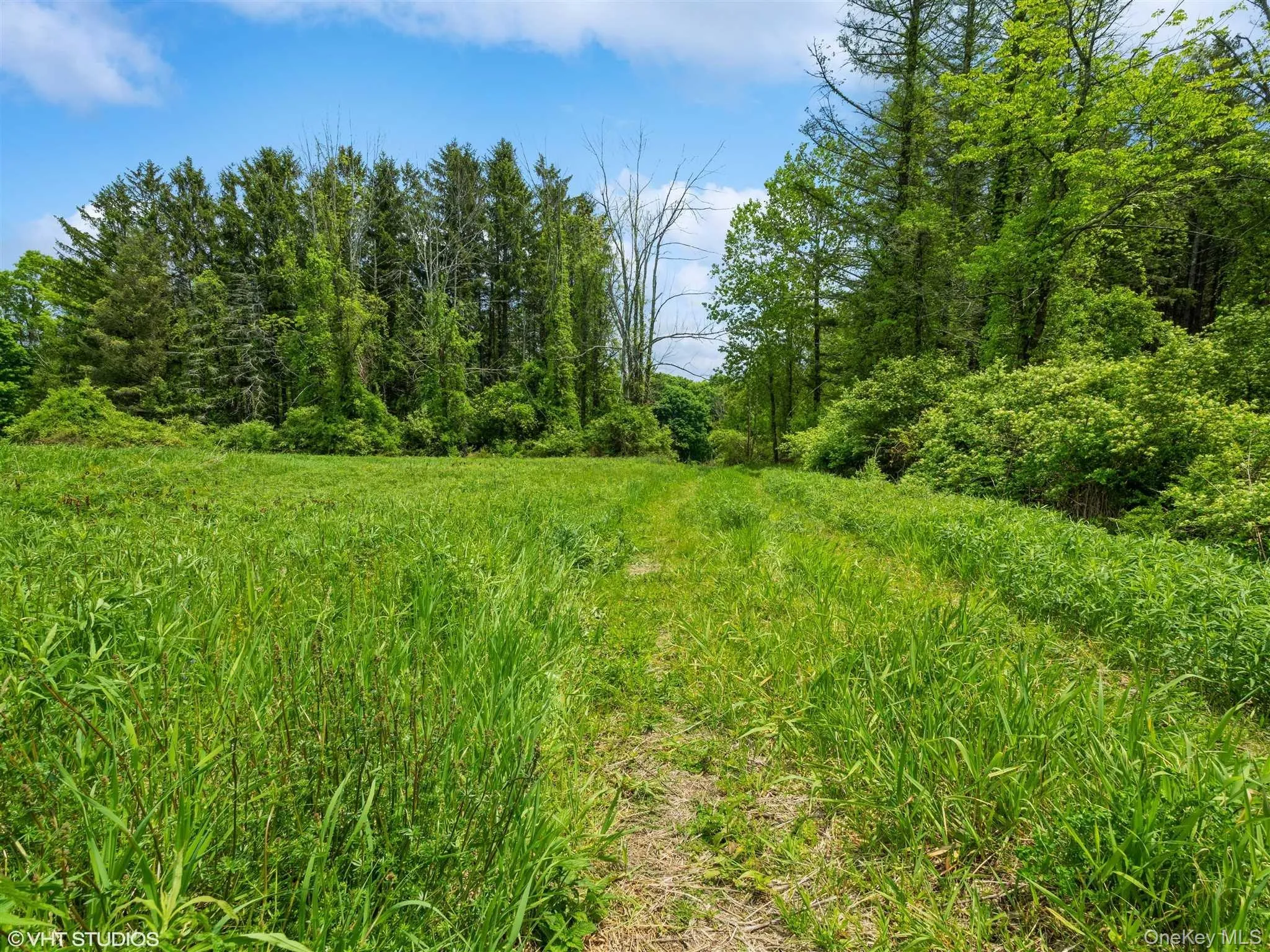 SKUNKS MISERY Lot 2 Road, North East, NY, ,Land,For Rent,SKUNKS MISERY Lot 2,0,1037317 SKUNKS MISERY Lot 2 Road, North East, NY, ,Land,For Rent,SKUNKS MISERY Lot 2,0,1037317