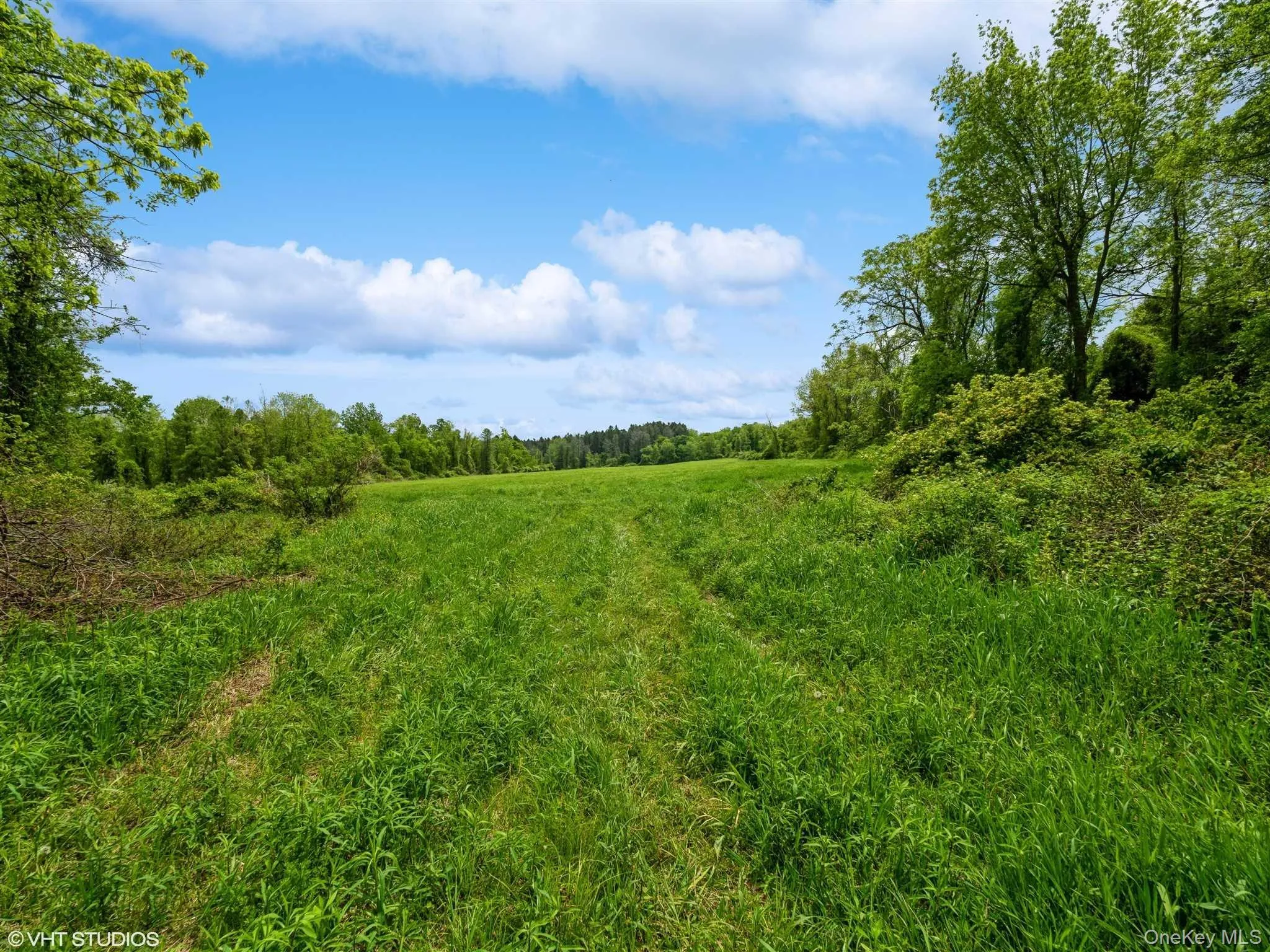 SKUNKS MISERY Lot 2 Road, North East, NY, ,Land,For Rent,SKUNKS MISERY Lot 2,0,1037317 SKUNKS MISERY Lot 2 Road, North East, NY, ,Land,For Rent,SKUNKS MISERY Lot 2,0,1037317