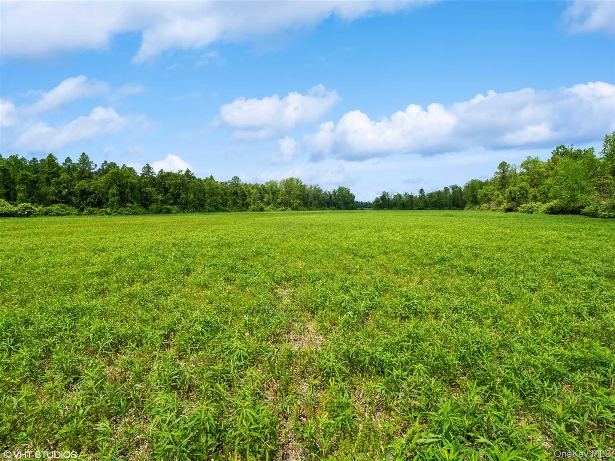 SKUNKS MISERY Lot 2 Road, North East, NY, ,Land,For Rent,SKUNKS MISERY Lot 2,0,1037317 SKUNKS MISERY Lot 2 Road, North East, NY, ,Land,For Rent,SKUNKS MISERY Lot 2,0,1037317
