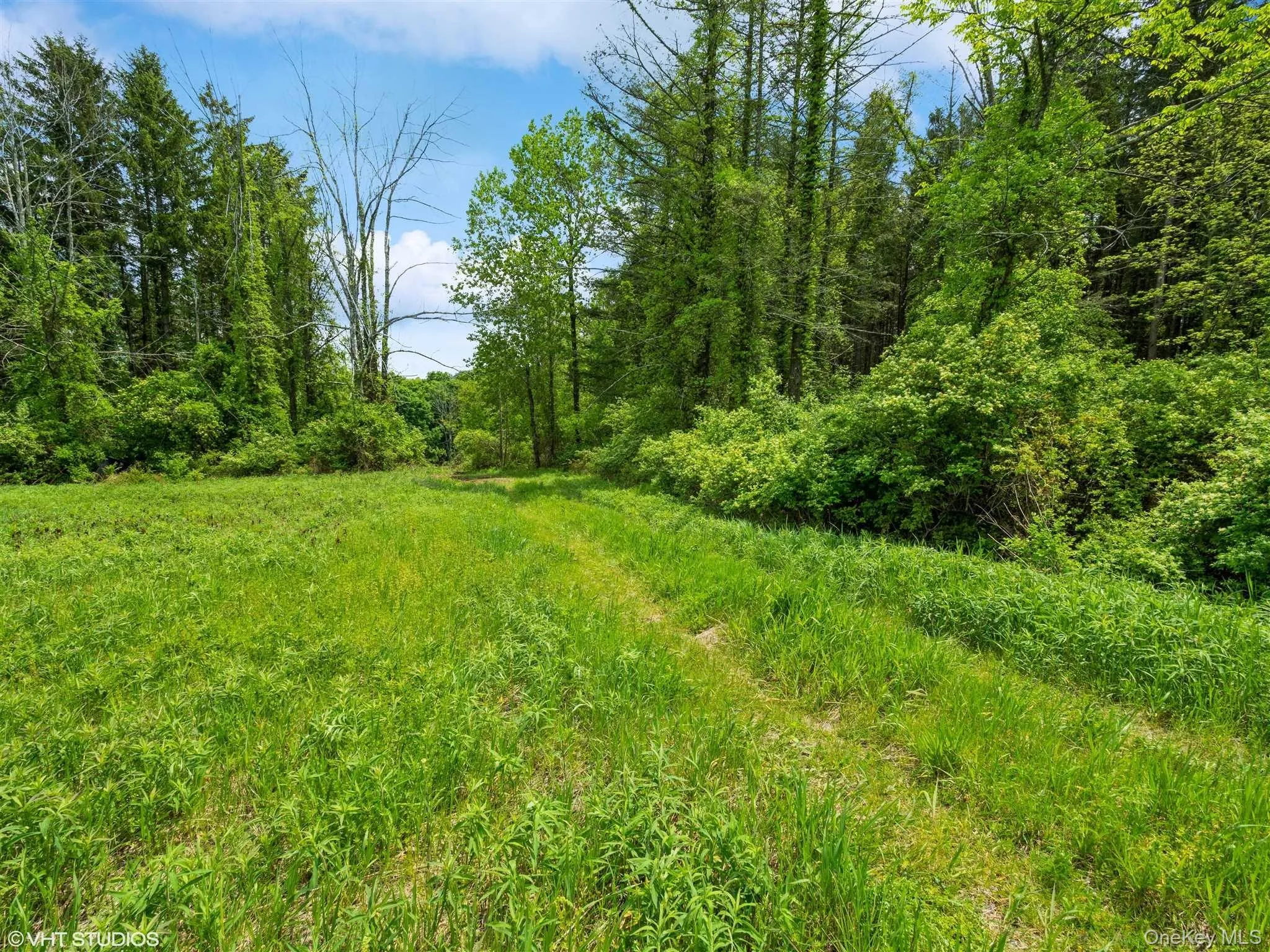 SKUNKS MISERY Lot 2 Road, North East, NY, ,Land,For Rent,SKUNKS MISERY Lot 2,0,1037317 SKUNKS MISERY Lot 2 Road, North East, NY, ,Land,For Rent,SKUNKS MISERY Lot 2,0,1037317
