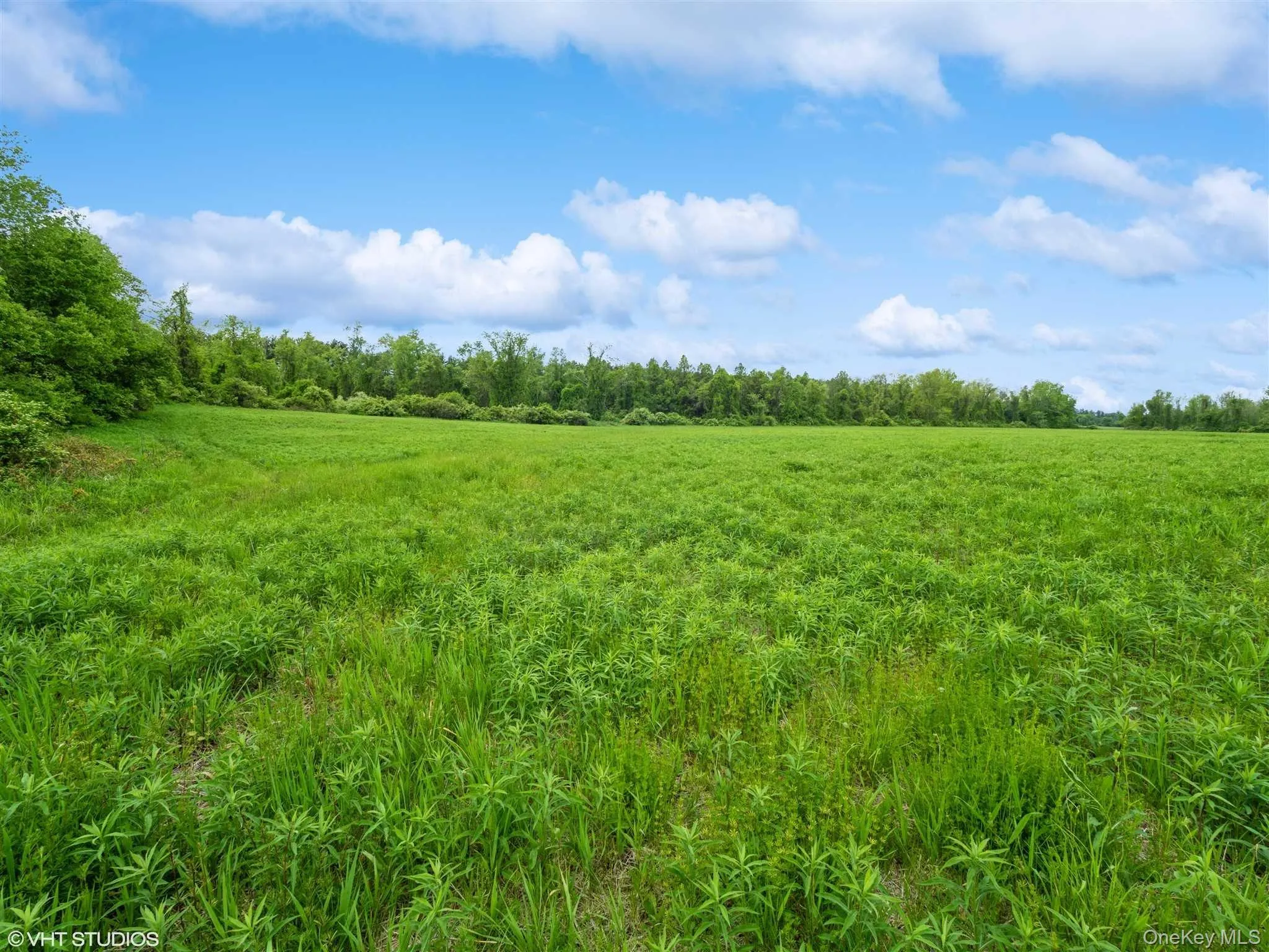 SKUNKS MISERY Lot 2 Road, North East, NY, ,Land,For Rent,SKUNKS MISERY Lot 2,0,1037317 SKUNKS MISERY Lot 2 Road, North East, NY, ,Land,For Rent,SKUNKS MISERY Lot 2,0,1037317