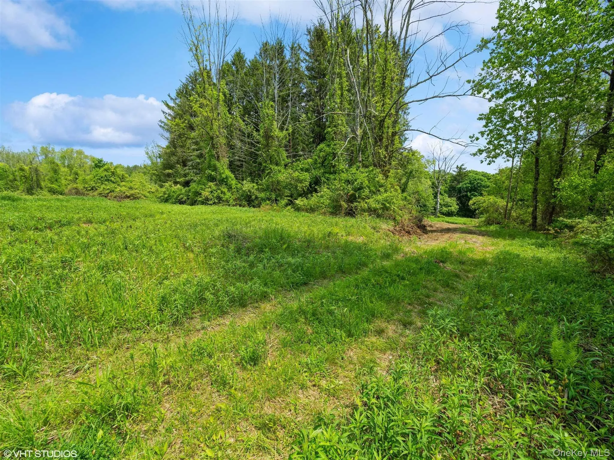 SKUNKS MISERY Lot 2 Road, North East, NY, ,Land,For Rent,SKUNKS MISERY Lot 2,0,1037317 SKUNKS MISERY Lot 2 Road, North East, NY, ,Land,For Rent,SKUNKS MISERY Lot 2,0,1037317