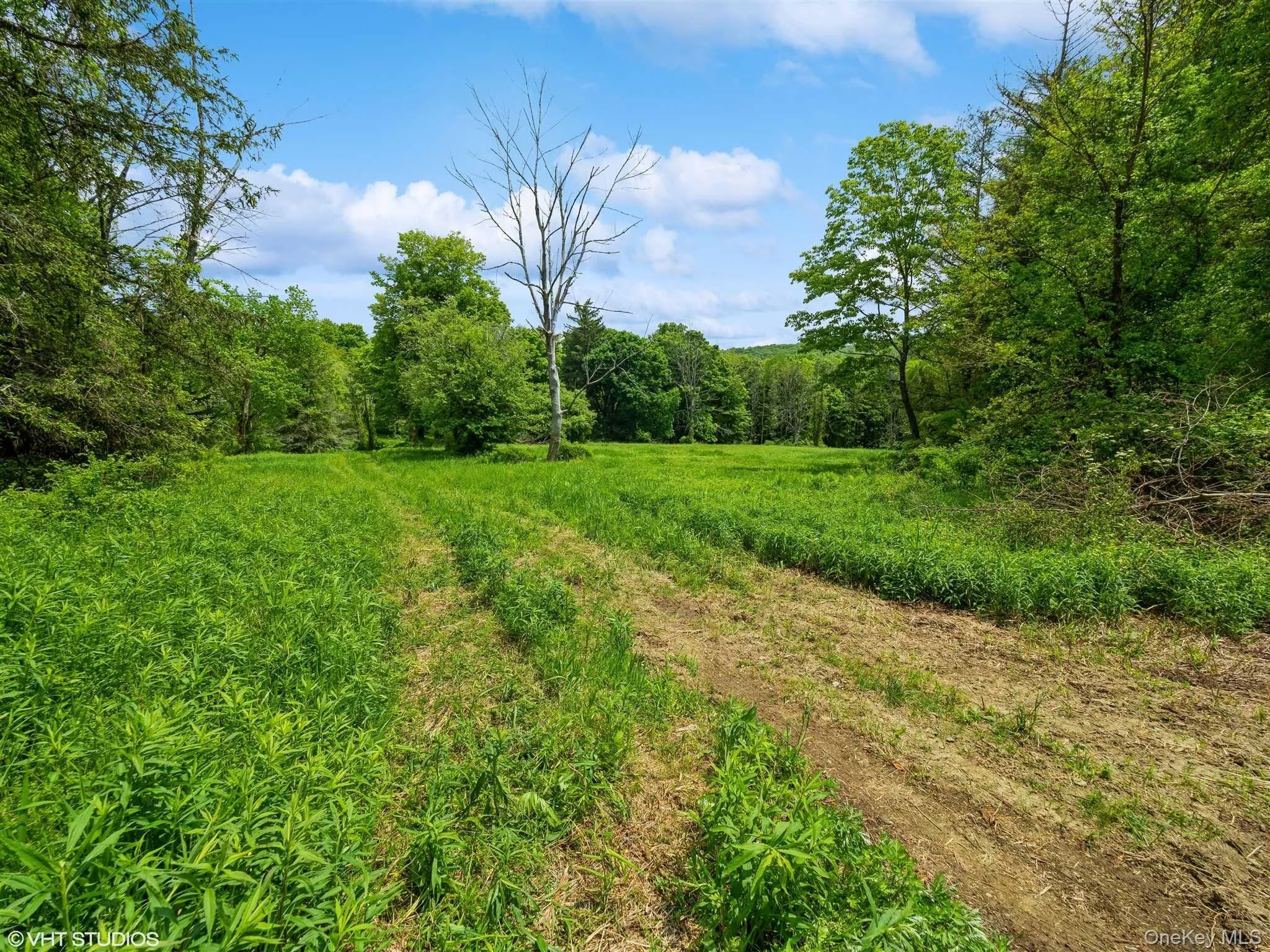 SKUNKS MISERY Lot 2 Road, North East, NY, ,Land,For Rent,SKUNKS MISERY Lot 2,0,1037317 SKUNKS MISERY Lot 2 Road, North East, NY, ,Land,For Rent,SKUNKS MISERY Lot 2,0,1037317