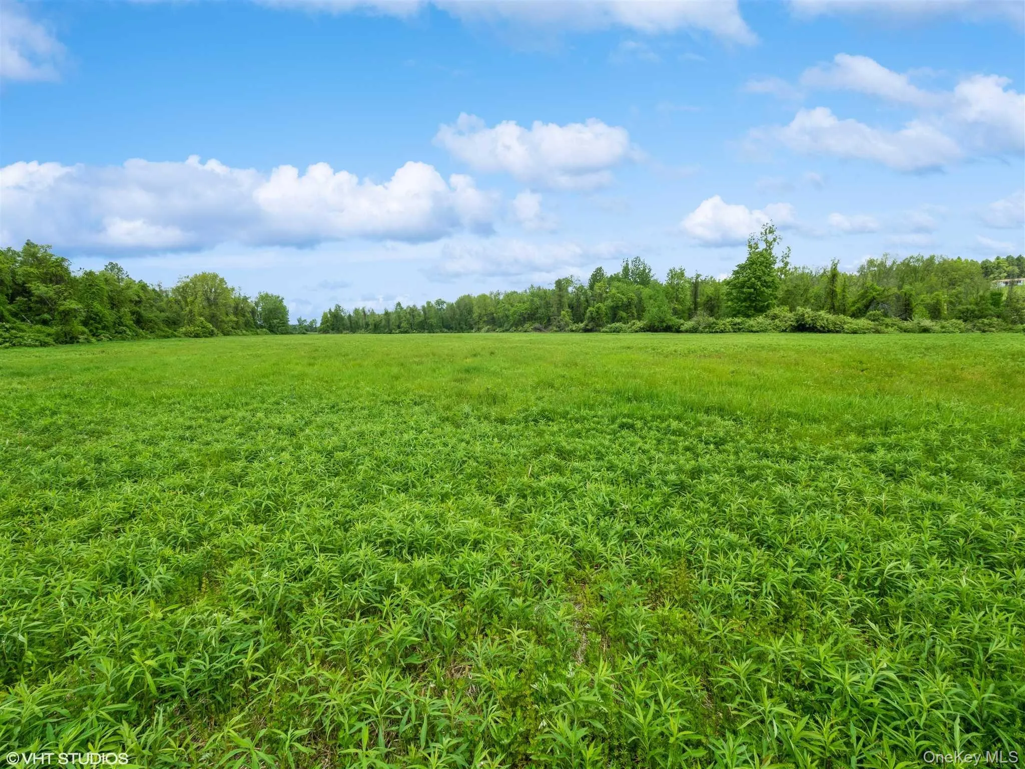 SKUNKS MISERY Lot 2 Road, North East, NY, ,Land,For Rent,SKUNKS MISERY Lot 2,0,1037317 SKUNKS MISERY Lot 2 Road, North East, NY, ,Land,For Rent,SKUNKS MISERY Lot 2,0,1037317