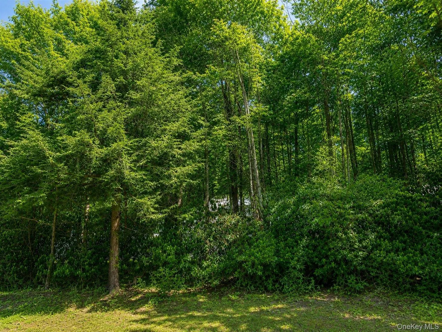 Benton Hollow Road, Neversink, NY, ,Land,For Rent,Benton Hollow,0,1037321 Benton Hollow Road, Neversink, NY, ,Land,For Rent,Benton Hollow,0,1037321