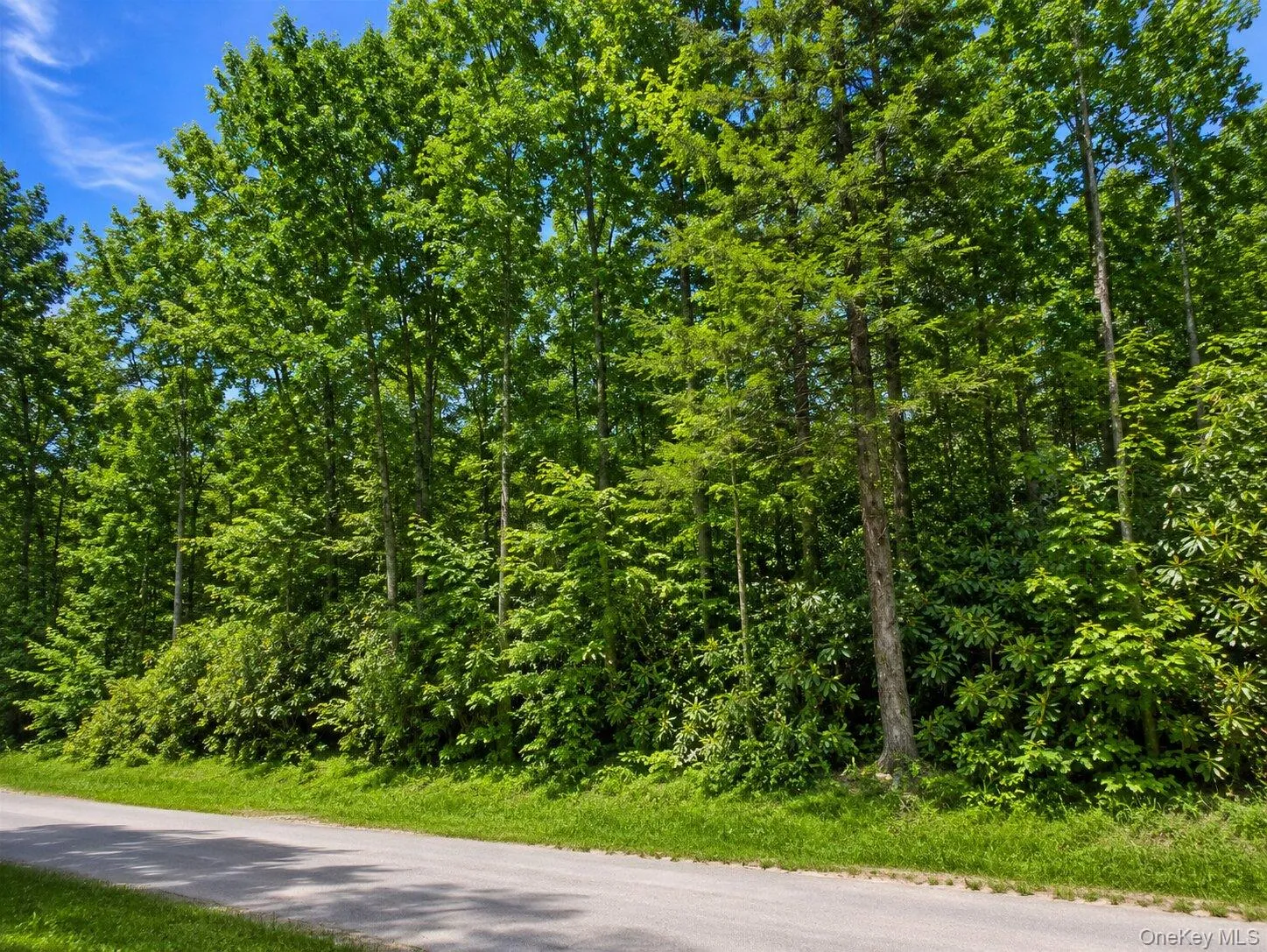 Benton Hollow Road, Neversink, NY, ,Land,For Rent,Benton Hollow,0,1037321 Benton Hollow Road, Neversink, NY, ,Land,For Rent,Benton Hollow,0,1037321