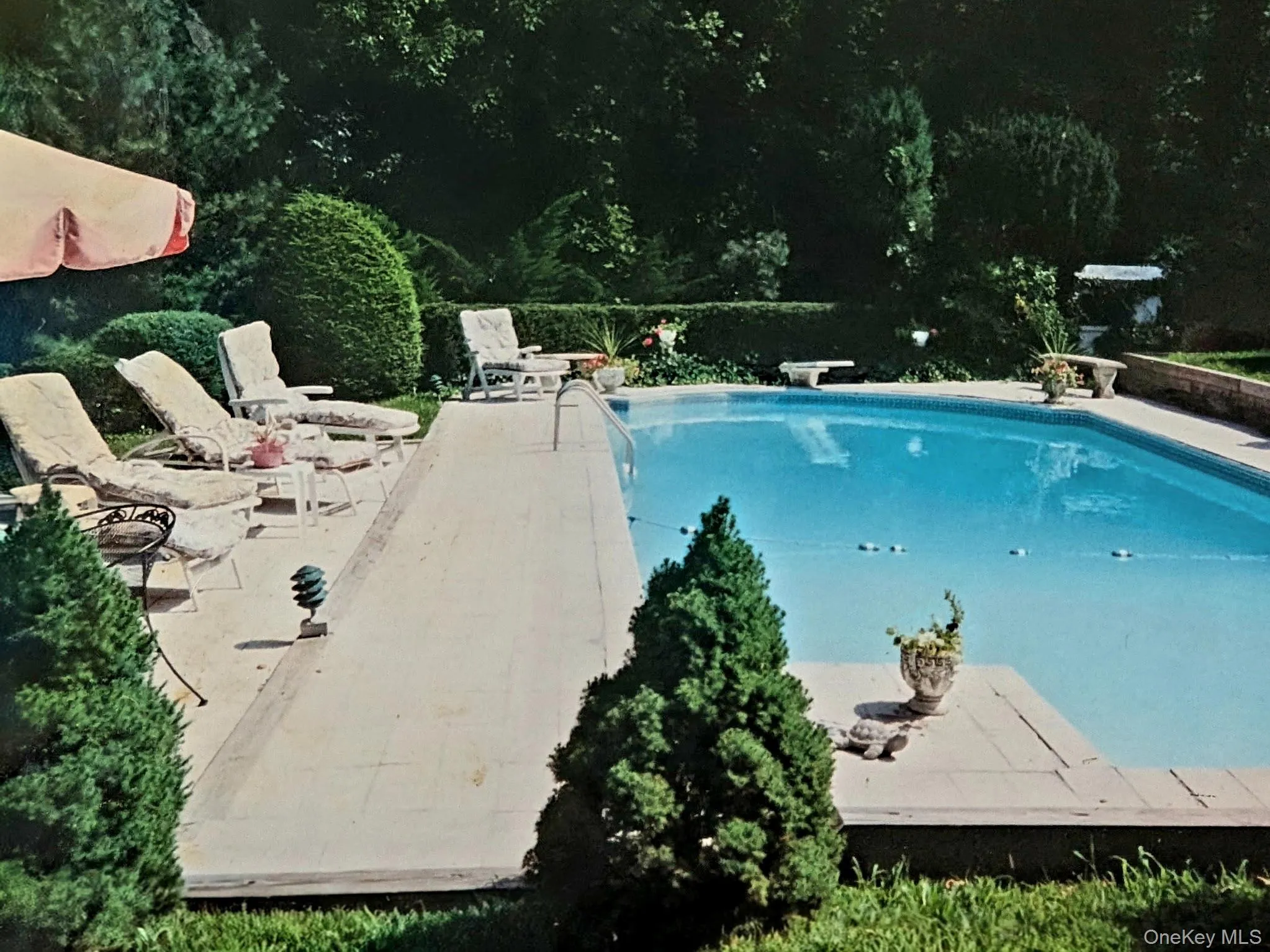 12 Wheeler Place, Clarkstown, NY, 4 Bedrooms Bedrooms, 11 Rooms Rooms,4 BathroomsBathrooms,Residential,For Rent,Wheeler,0,1037330 12 Wheeler Place, Clarkstown, NY, 4 Bedrooms Bedrooms, 11 Rooms Rooms,4 BathroomsBathrooms,Residential,For Rent,Wheeler,0,1037330