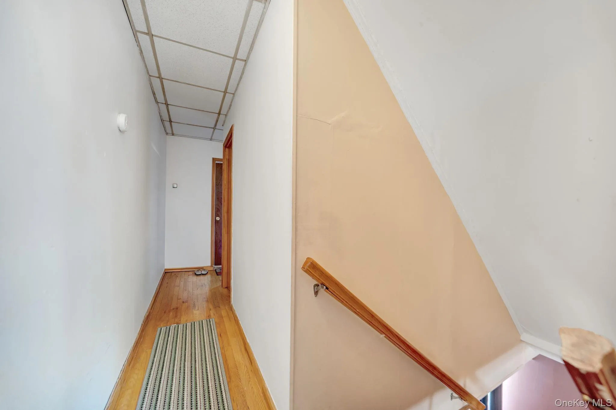 1646 36th Street, New York, NY, 3 Bedrooms Bedrooms, 6 Rooms Rooms,2 BathroomsBathrooms,Residential,For Rent,36th,0,1037335 1646 36th Street, New York, NY, 3 Bedrooms Bedrooms, 6 Rooms Rooms,2 BathroomsBathrooms,Residential,For Rent,36th,0,1037335