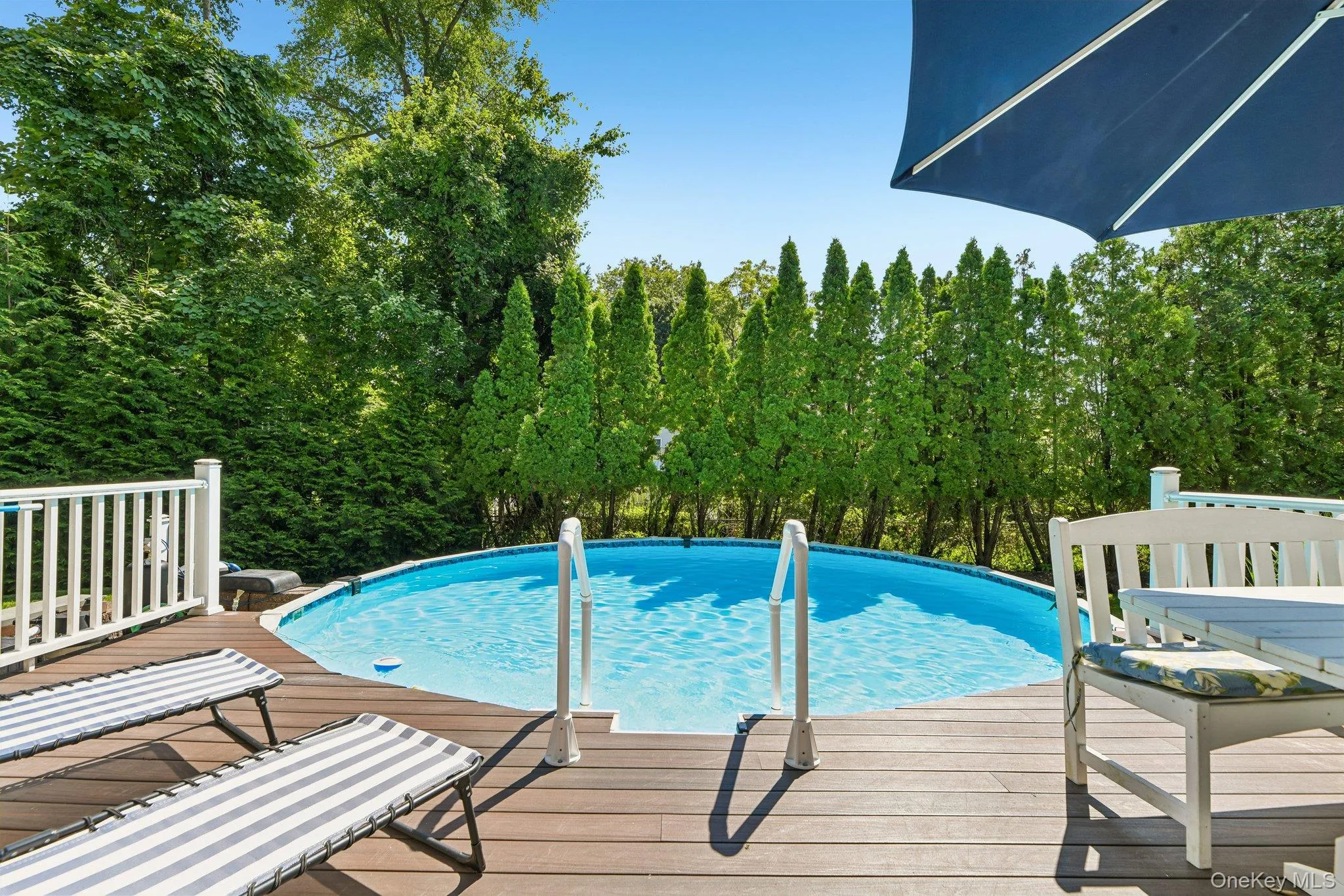 Above ground pool w/Trex deck Above ground pool w/Trex deck