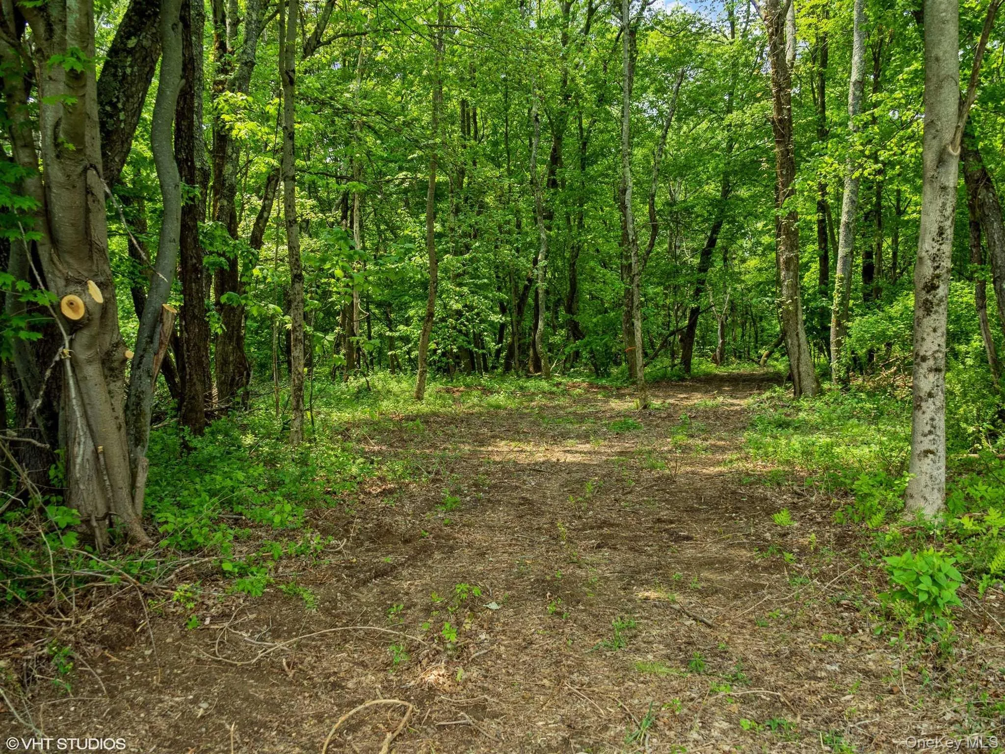 SKUNKS MISERY Lot 1 Road, North East, NY, ,Land,For Rent,SKUNKS MISERY Lot 1,0,1037363 SKUNKS MISERY Lot 1 Road, North East, NY, ,Land,For Rent,SKUNKS MISERY Lot 1,0,1037363