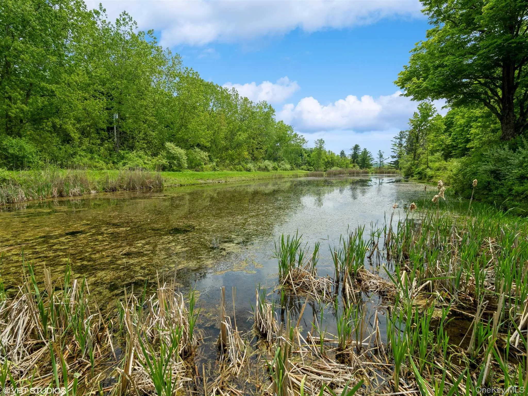SKUNKS MISERY Lot 1 Road, North East, NY, ,Land,For Rent,SKUNKS MISERY Lot 1,0,1037363 SKUNKS MISERY Lot 1 Road, North East, NY, ,Land,For Rent,SKUNKS MISERY Lot 1,0,1037363