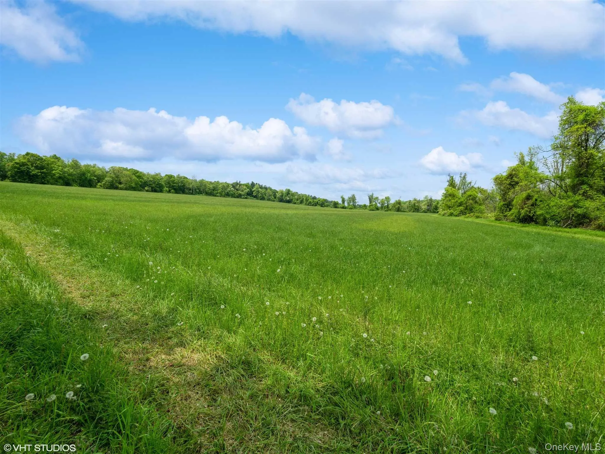 SKUNKS MISERY Lot 1 Road, North East, NY, ,Land,For Rent,SKUNKS MISERY Lot 1,0,1037363 SKUNKS MISERY Lot 1 Road, North East, NY, ,Land,For Rent,SKUNKS MISERY Lot 1,0,1037363