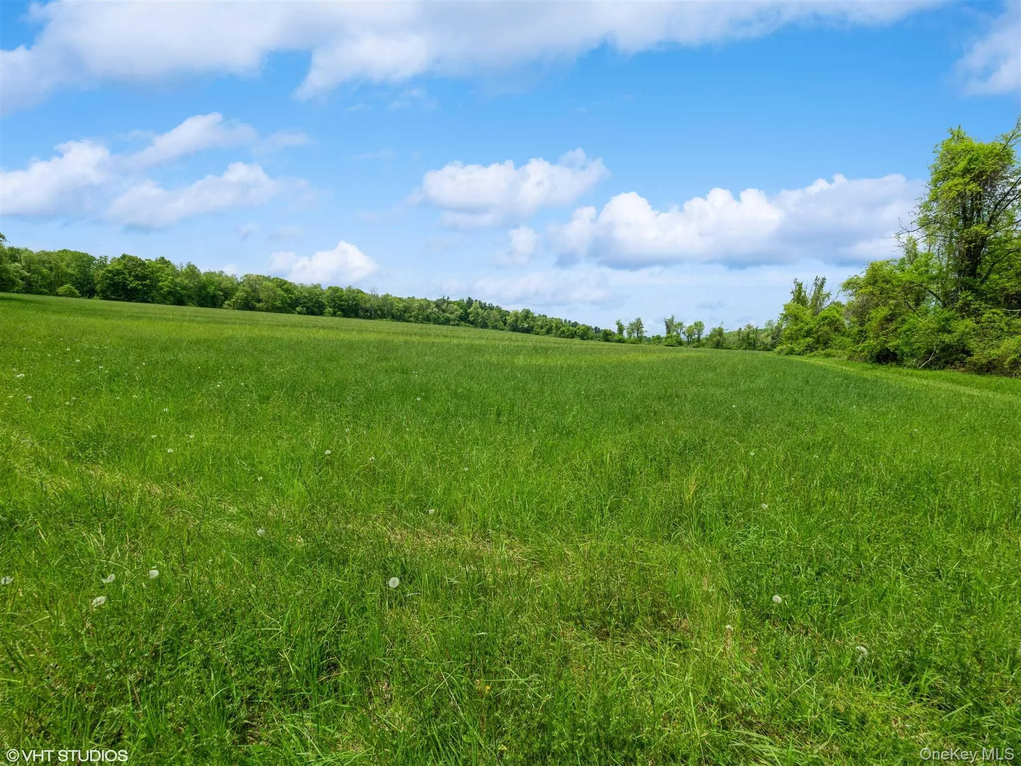 SKUNKS MISERY Lot 1 Road, North East, NY, ,Land,For Rent,SKUNKS MISERY Lot 1,0,1037363 SKUNKS MISERY Lot 1 Road, North East, NY, ,Land,For Rent,SKUNKS MISERY Lot 1,0,1037363