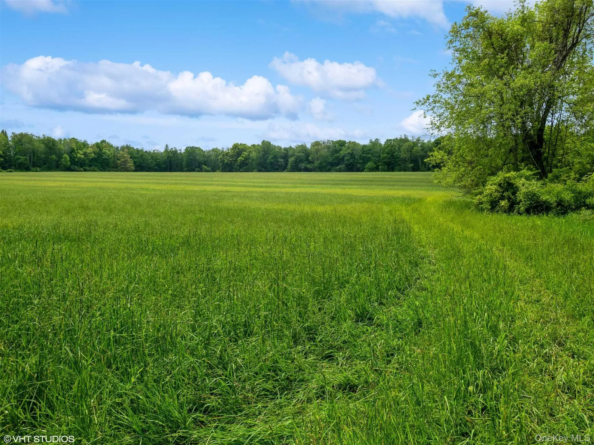 SKUNKS MISERY Lot 1 Road, North East, NY, ,Land,For Rent,SKUNKS MISERY Lot 1,0,1037363 SKUNKS MISERY Lot 1 Road, North East, NY, ,Land,For Rent,SKUNKS MISERY Lot 1,0,1037363