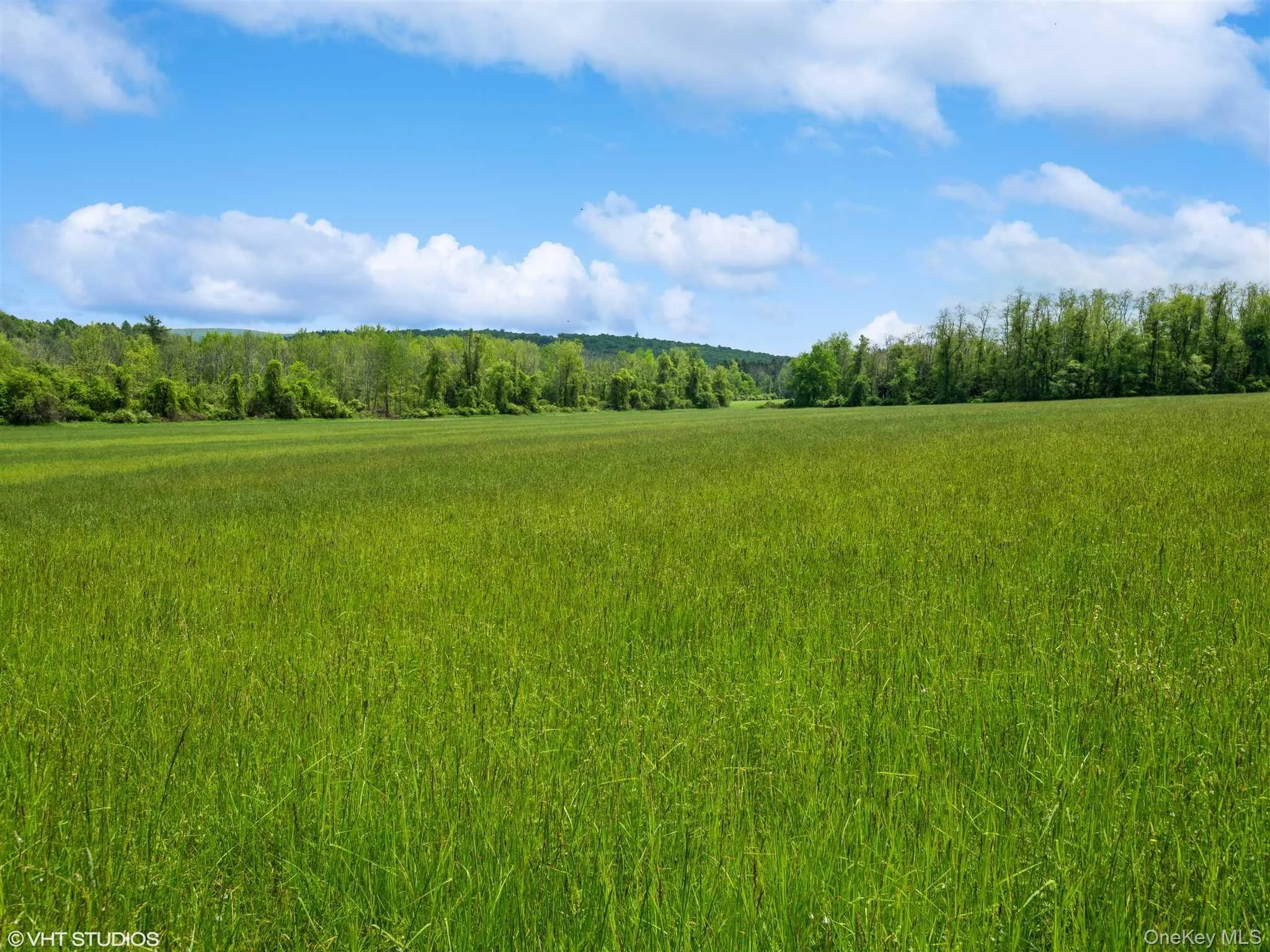 SKUNKS MISERY Lot 1 Road, North East, NY, ,Land,For Rent,SKUNKS MISERY Lot 1,0,1037363 SKUNKS MISERY Lot 1 Road, North East, NY, ,Land,For Rent,SKUNKS MISERY Lot 1,0,1037363
