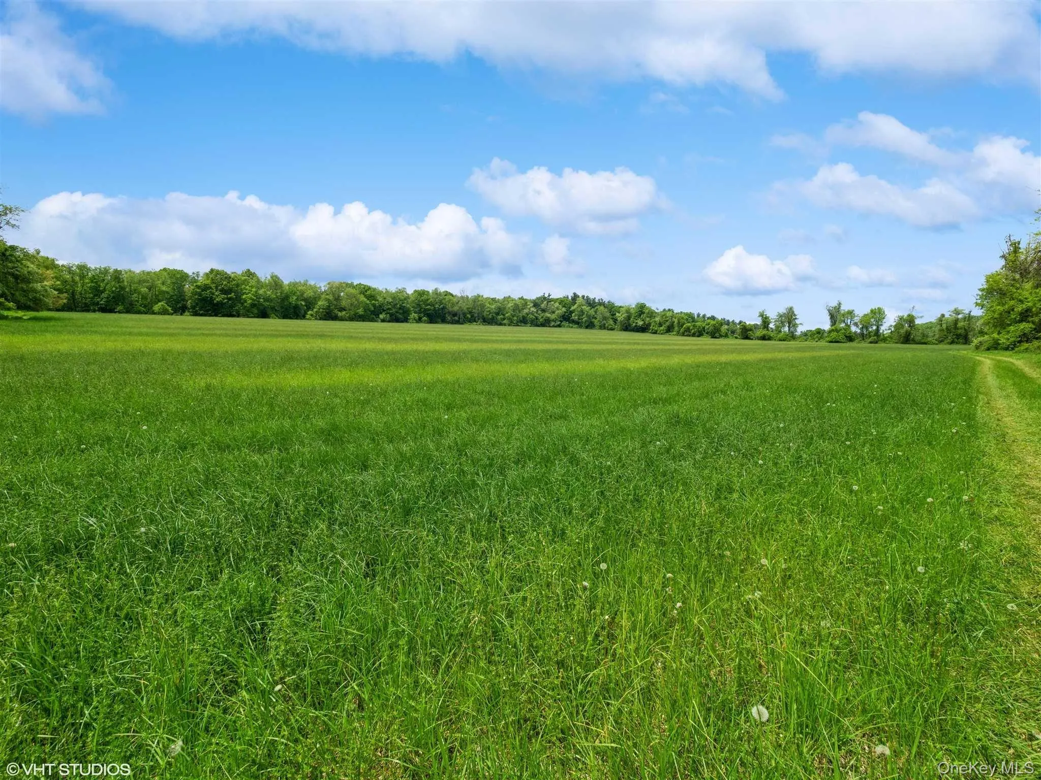 SKUNKS MISERY Lot 1 Road, North East, NY, ,Land,For Rent,SKUNKS MISERY Lot 1,0,1037363 SKUNKS MISERY Lot 1 Road, North East, NY, ,Land,For Rent,SKUNKS MISERY Lot 1,0,1037363