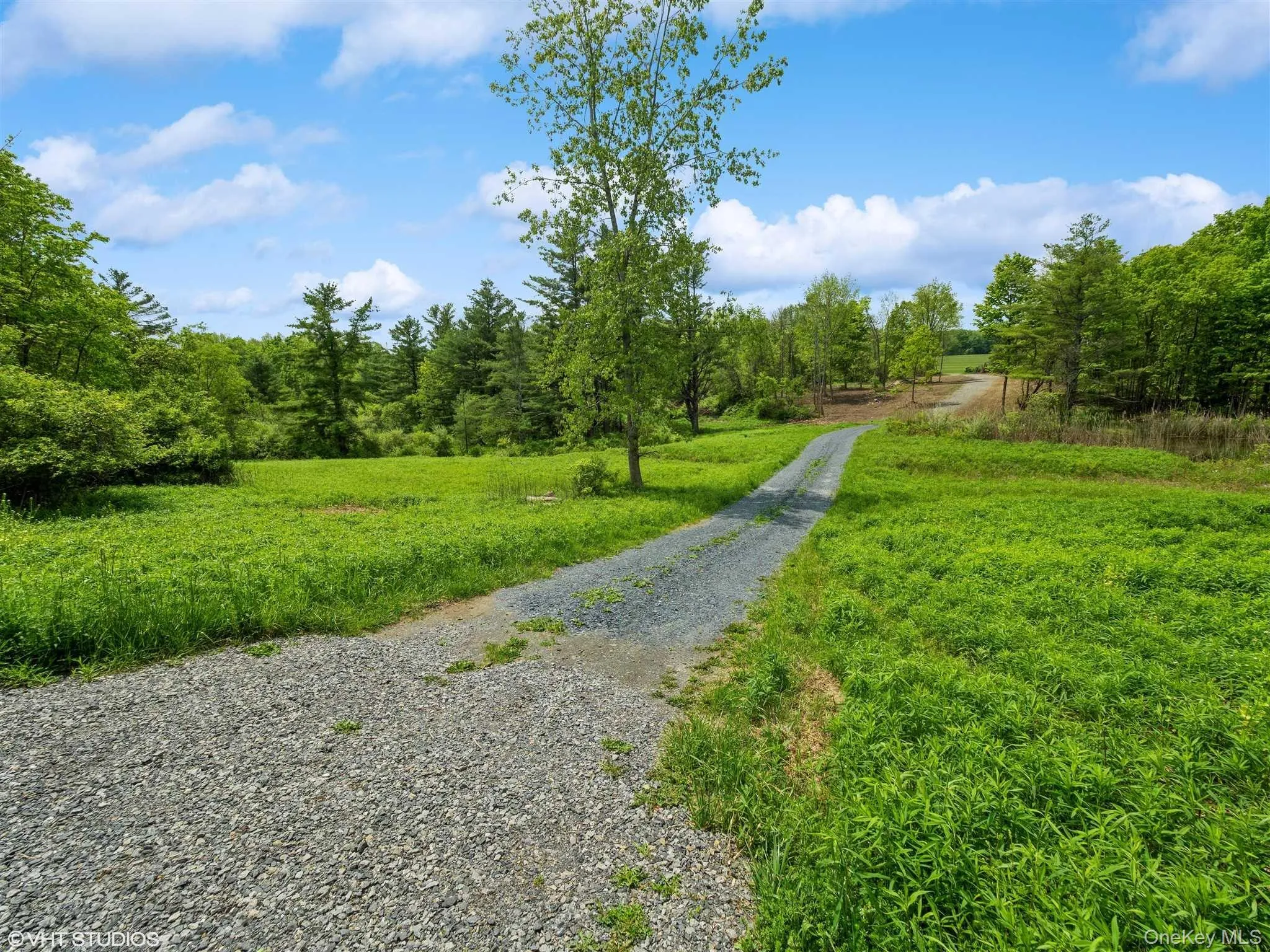 SKUNKS MISERY Lot 3 Road, North East, NY, ,Land,For Rent,SKUNKS MISERY Lot 3,0,1037367 SKUNKS MISERY Lot 3 Road, North East, NY, ,Land,For Rent,SKUNKS MISERY Lot 3,0,1037367