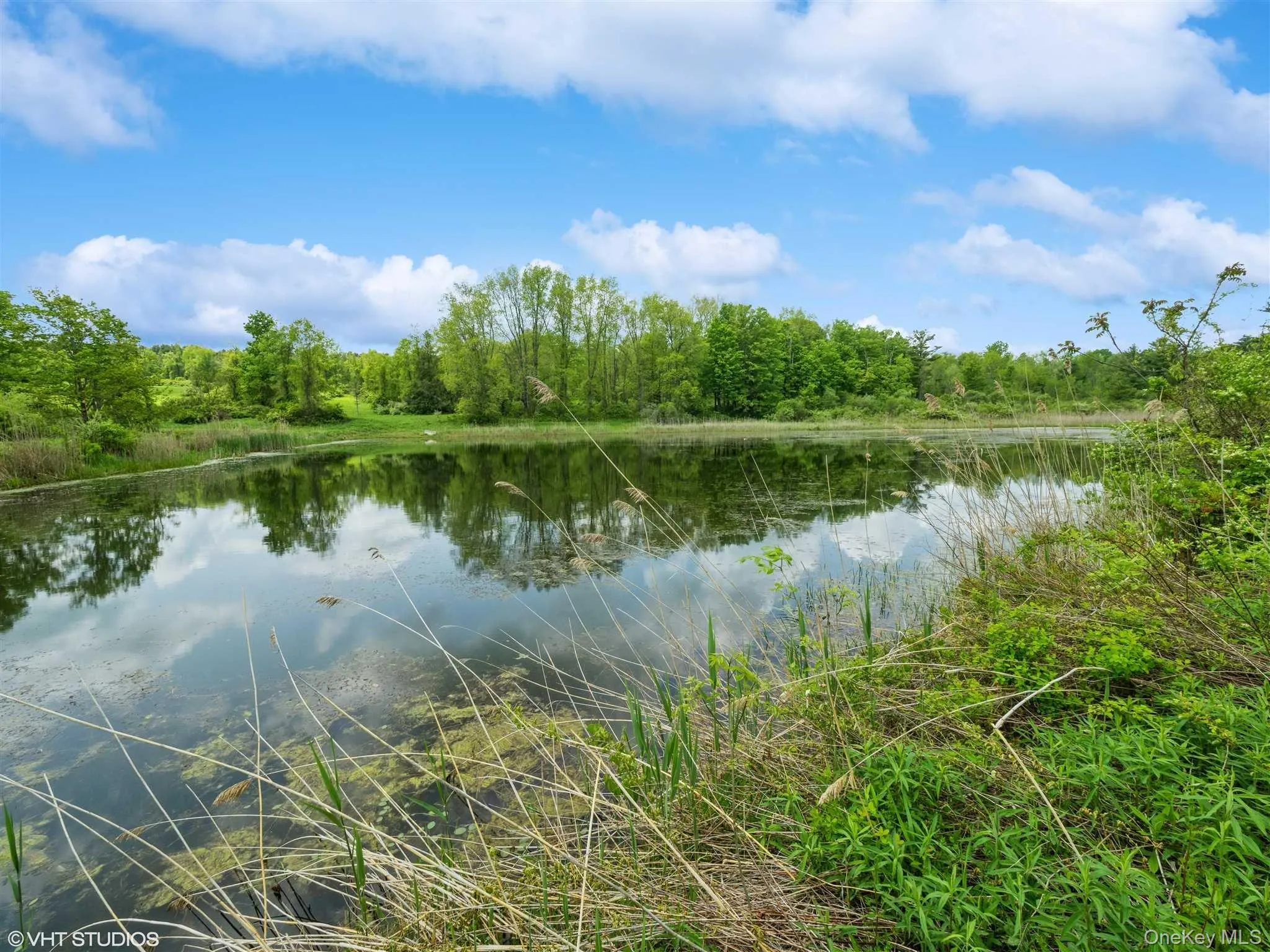 SKUNKS MISERY Lot 3 Road, North East, NY, ,Land,For Rent,SKUNKS MISERY Lot 3,0,1037367 SKUNKS MISERY Lot 3 Road, North East, NY, ,Land,For Rent,SKUNKS MISERY Lot 3,0,1037367
