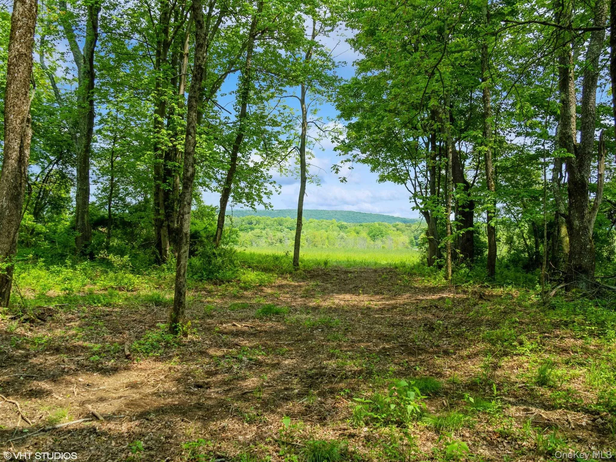 SKUNKS MISERY Lot 3 Road, North East, NY, ,Land,For Rent,SKUNKS MISERY Lot 3,0,1037367 SKUNKS MISERY Lot 3 Road, North East, NY, ,Land,For Rent,SKUNKS MISERY Lot 3,0,1037367