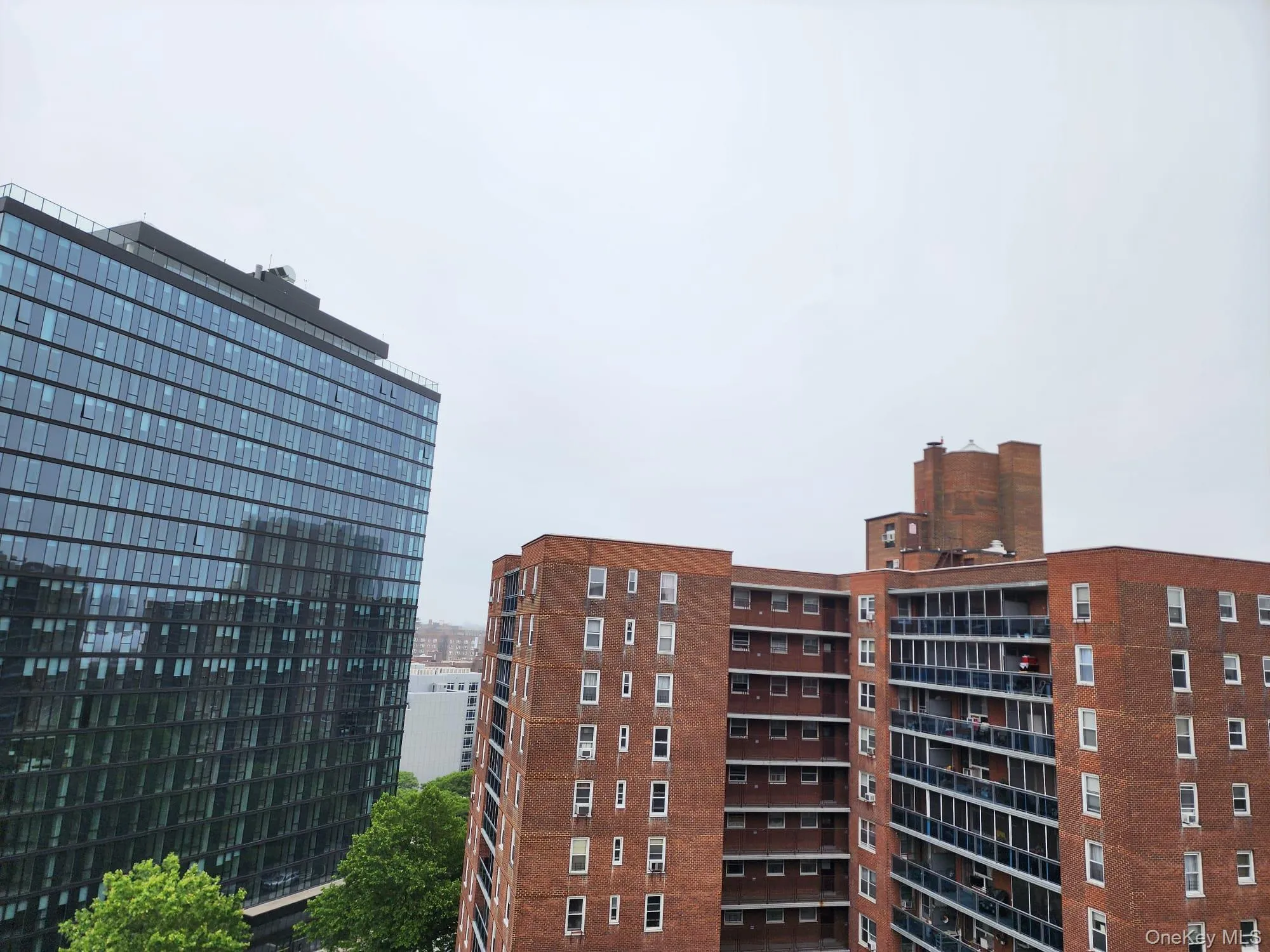 98-20 62nd Drive, New York, NY, 2 Rooms Rooms,1 BathroomBathrooms,Residential Lease,For Rent,62nd,0,1037395 98-20 62nd Drive, New York, NY, 2 Rooms Rooms,1 BathroomBathrooms,Residential Lease,For Rent,62nd,0,1037395