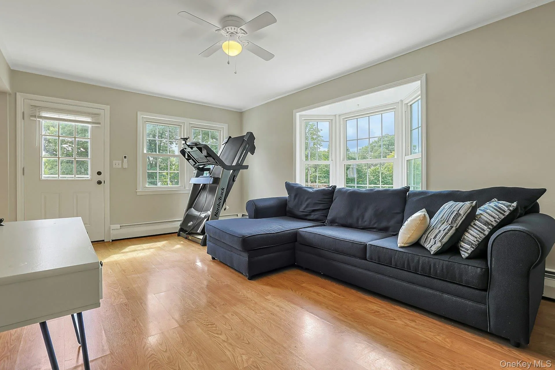 Lots of Natural Light and Gleaming Hardwood Floors Lots of Natural Light and Gleaming Hardwood Floors