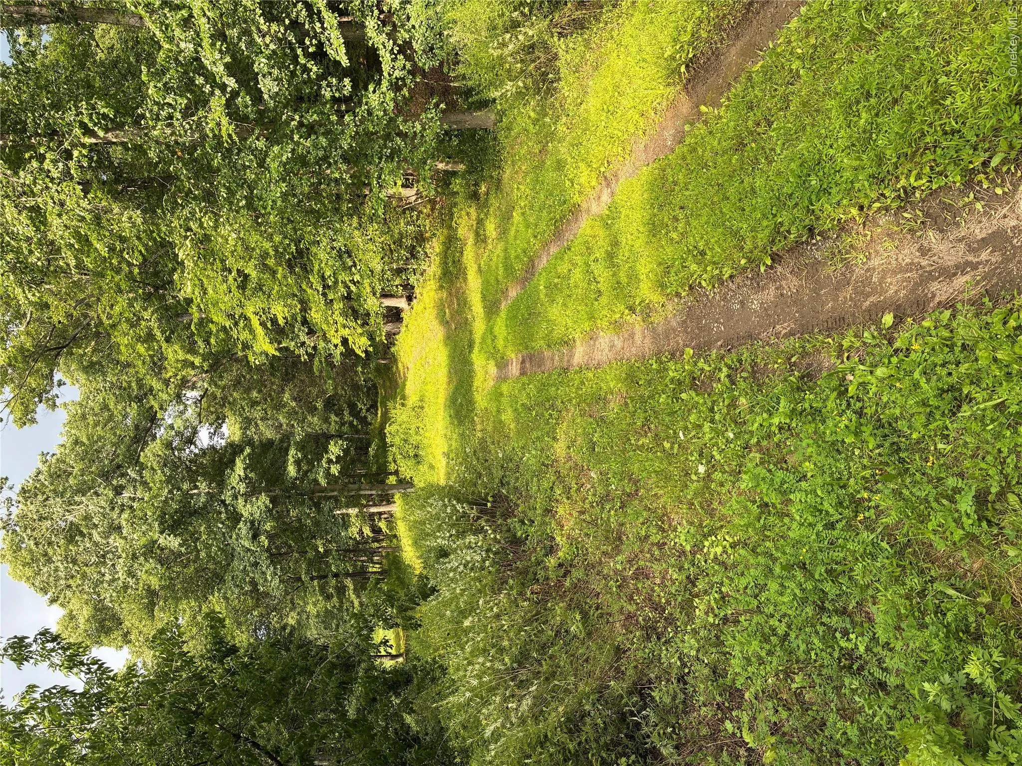 207 Pleasantvale Road, Clermont, NY, ,Land,For Rent,Pleasantvale,0,1037427 207 Pleasantvale Road, Clermont, NY, ,Land,For Rent,Pleasantvale,0,1037427