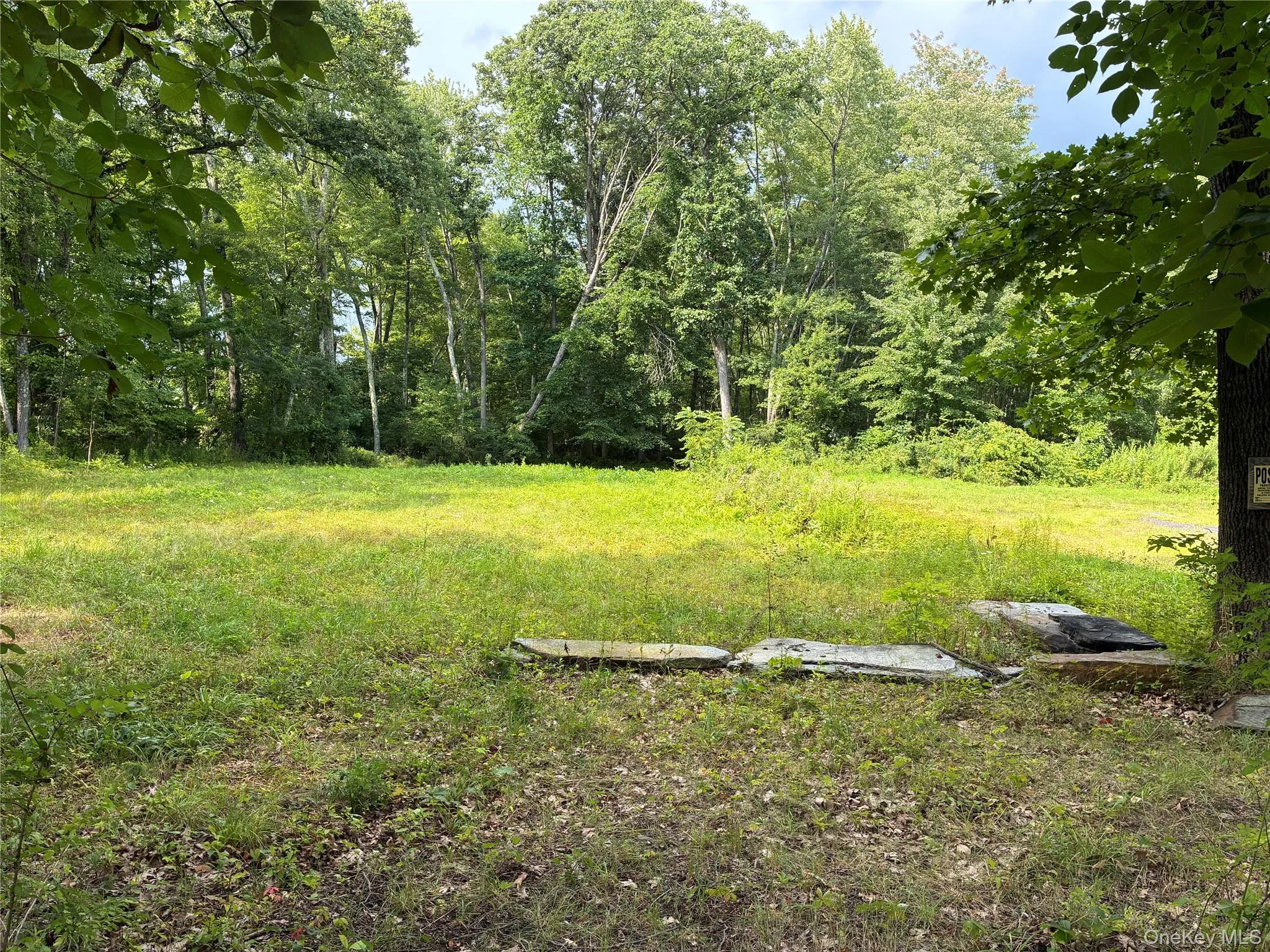 207 Pleasantvale Road, Clermont, NY, ,Land,For Rent,Pleasantvale,0,1037427 207 Pleasantvale Road, Clermont, NY, ,Land,For Rent,Pleasantvale,0,1037427
