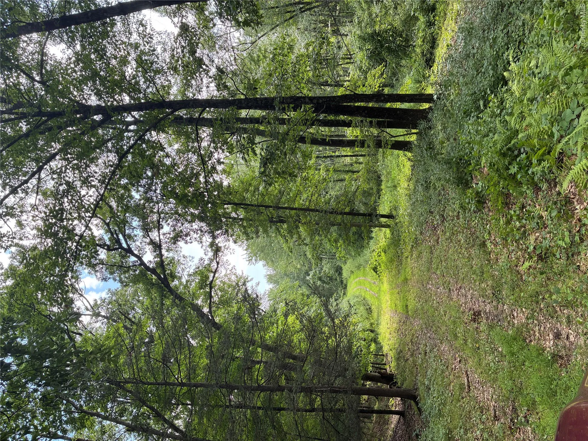 207 Pleasantvale Road, Clermont, NY, ,Land,For Rent,Pleasantvale,0,1037427 207 Pleasantvale Road, Clermont, NY, ,Land,For Rent,Pleasantvale,0,1037427