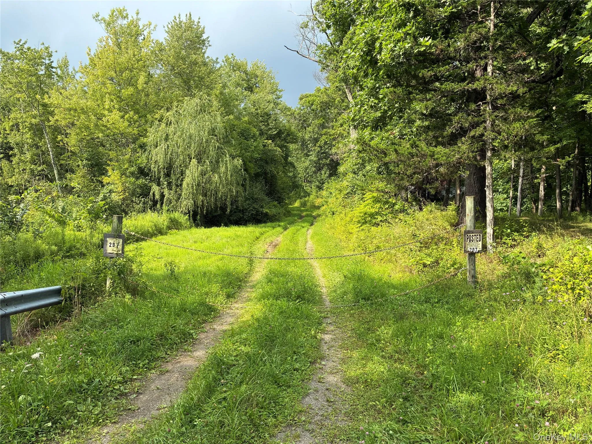 207 Pleasantvale Road, Clermont, NY, ,Land,For Rent,Pleasantvale,0,1037427 207 Pleasantvale Road, Clermont, NY, ,Land,For Rent,Pleasantvale,0,1037427