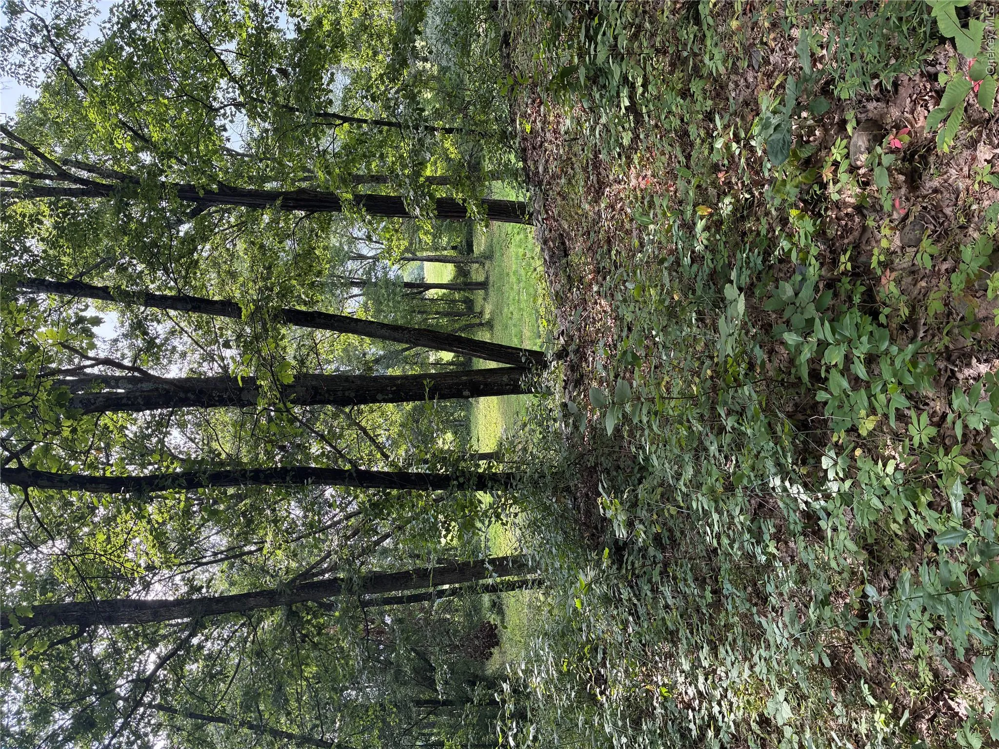 207 Pleasantvale Road, Clermont, NY, ,Land,For Rent,Pleasantvale,0,1037427 207 Pleasantvale Road, Clermont, NY, ,Land,For Rent,Pleasantvale,0,1037427