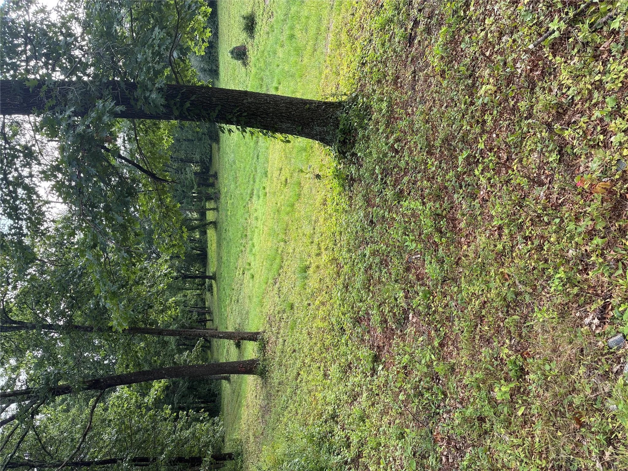 207 Pleasantvale Road, Clermont, NY, ,Land,For Rent,Pleasantvale,0,1037427 207 Pleasantvale Road, Clermont, NY, ,Land,For Rent,Pleasantvale,0,1037427