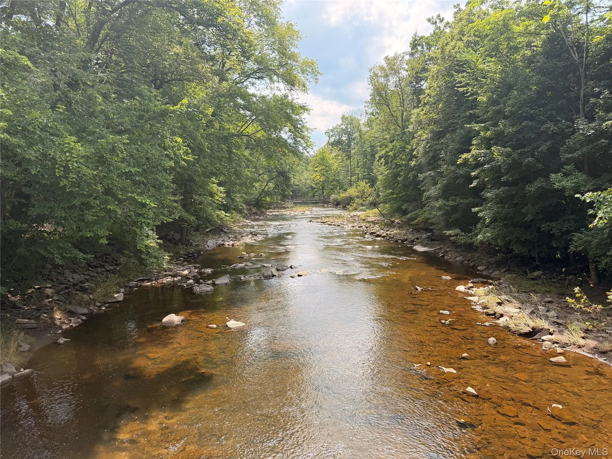 591 High Falls Road Extension, Catskill, NY, 2 Bedrooms Bedrooms, 4 Rooms Rooms,1 BathroomBathrooms,Residential,For Rent,High Falls Road,0,1037434 591 High Falls Road Extension, Catskill, NY, 2 Bedrooms Bedrooms, 4 Rooms Rooms,1 BathroomBathrooms,Residential,For Rent,High Falls Road,0,1037434