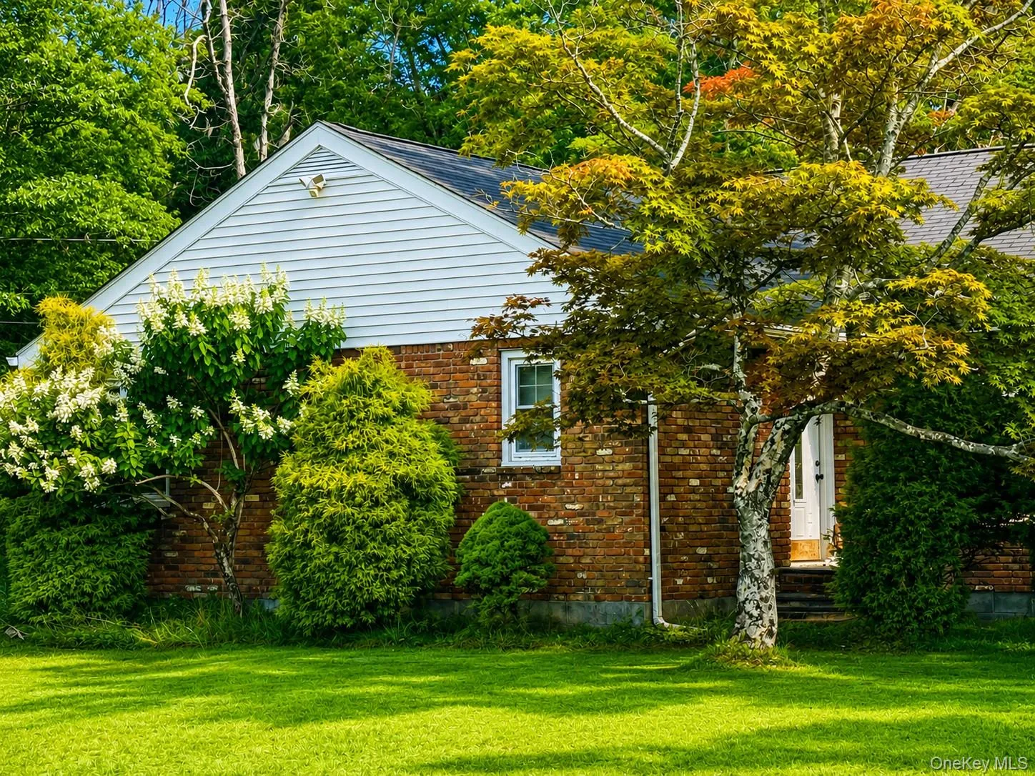 183 White Road, Lumberland, NY, 3 Bedrooms Bedrooms, 7 Rooms Rooms,2 BathroomsBathrooms,Residential,For Rent,White,0,1037465 183 White Road, Lumberland, NY, 3 Bedrooms Bedrooms, 7 Rooms Rooms,2 BathroomsBathrooms,Residential,For Rent,White,0,1037465