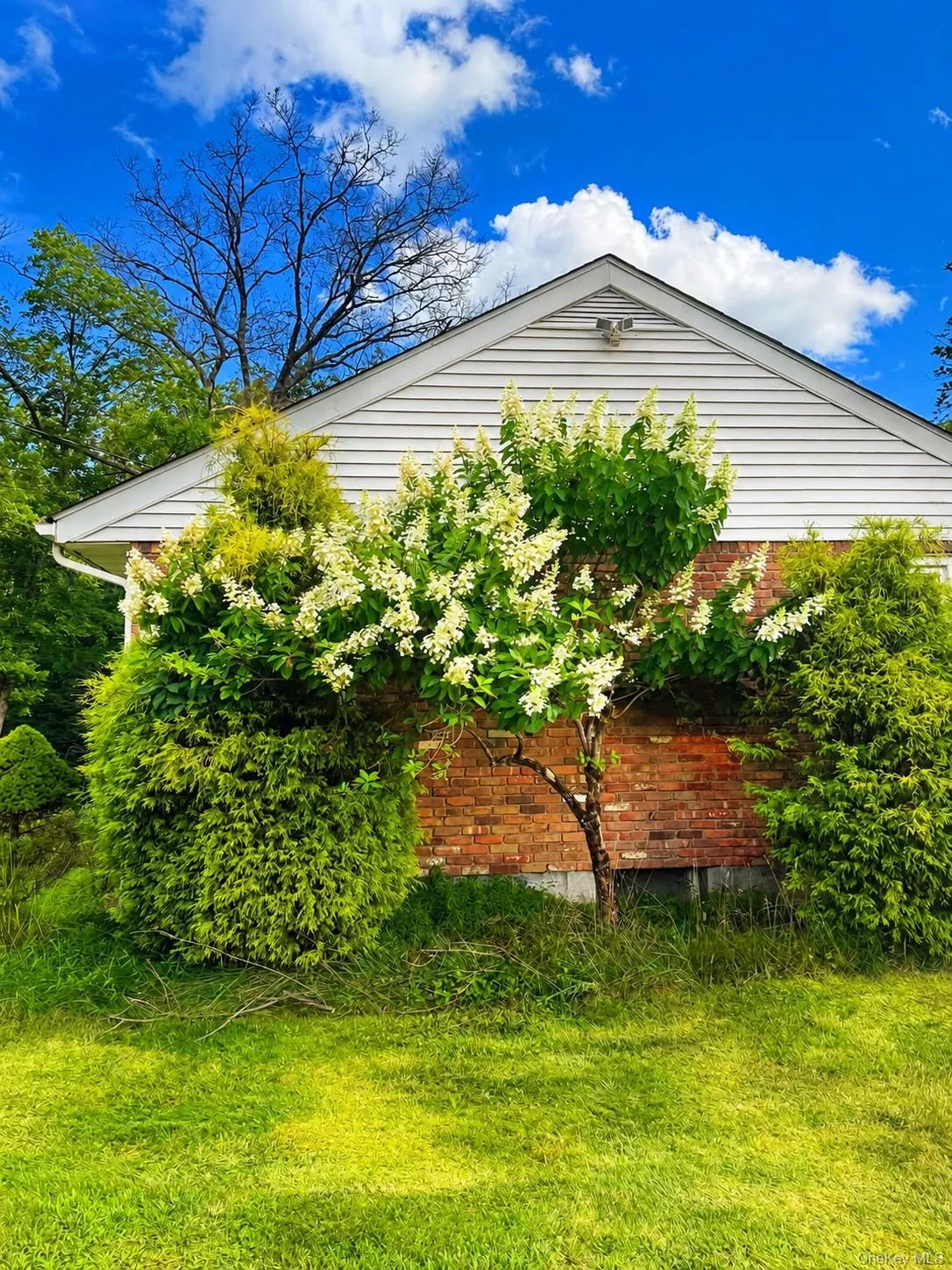 183 White Road, Lumberland, NY, 3 Bedrooms Bedrooms, 7 Rooms Rooms,2 BathroomsBathrooms,Residential,For Rent,White,0,1037465 183 White Road, Lumberland, NY, 3 Bedrooms Bedrooms, 7 Rooms Rooms,2 BathroomsBathrooms,Residential,For Rent,White,0,1037465