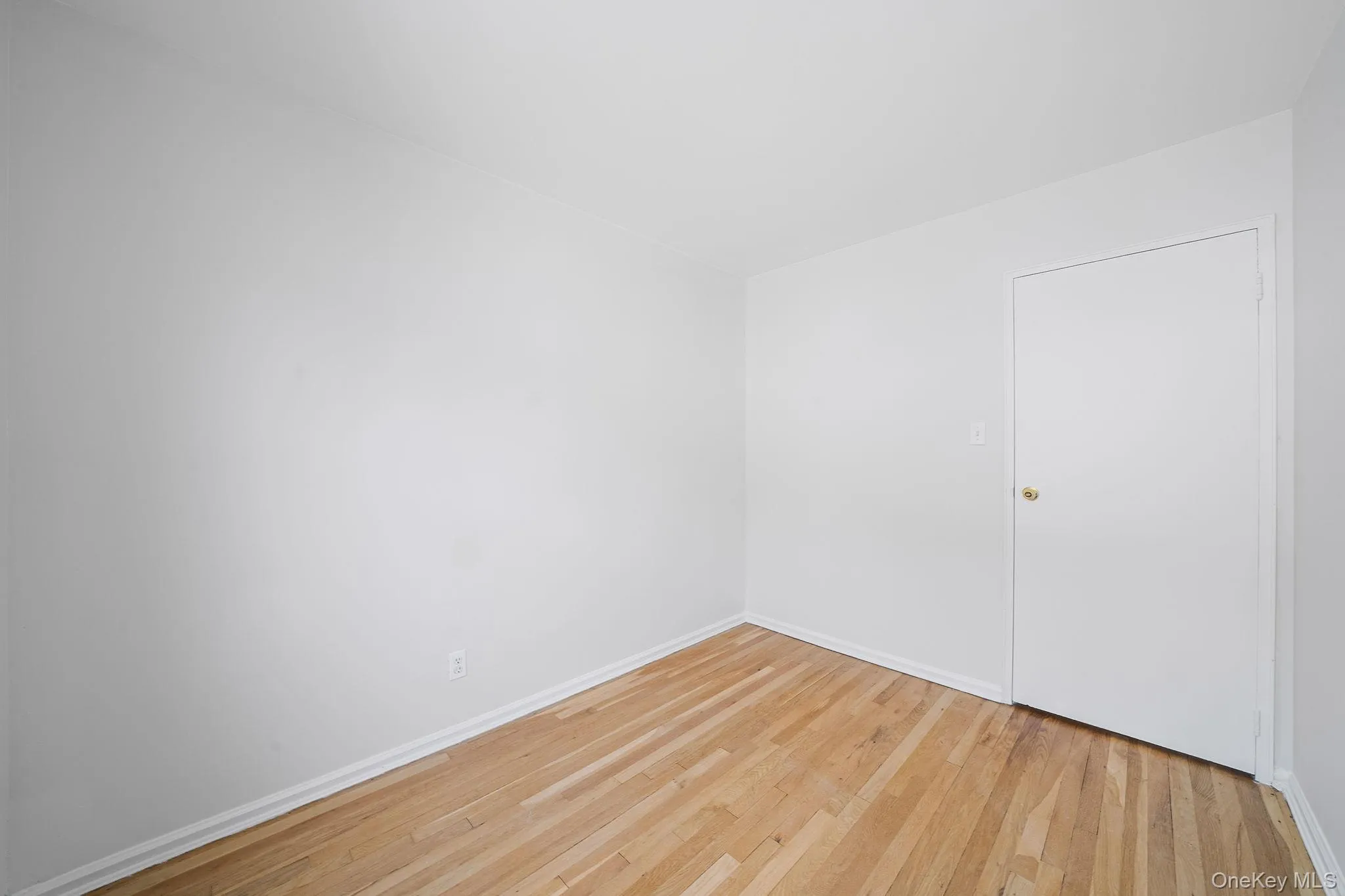 2444 Ericsson Street, New York, NY, 3 Bedrooms Bedrooms, 5 Rooms Rooms,1 BathroomBathrooms,Residential,For Rent,Ericsson,0,1037488 2444 Ericsson Street, New York, NY, 3 Bedrooms Bedrooms, 5 Rooms Rooms,1 BathroomBathrooms,Residential,For Rent,Ericsson,0,1037488