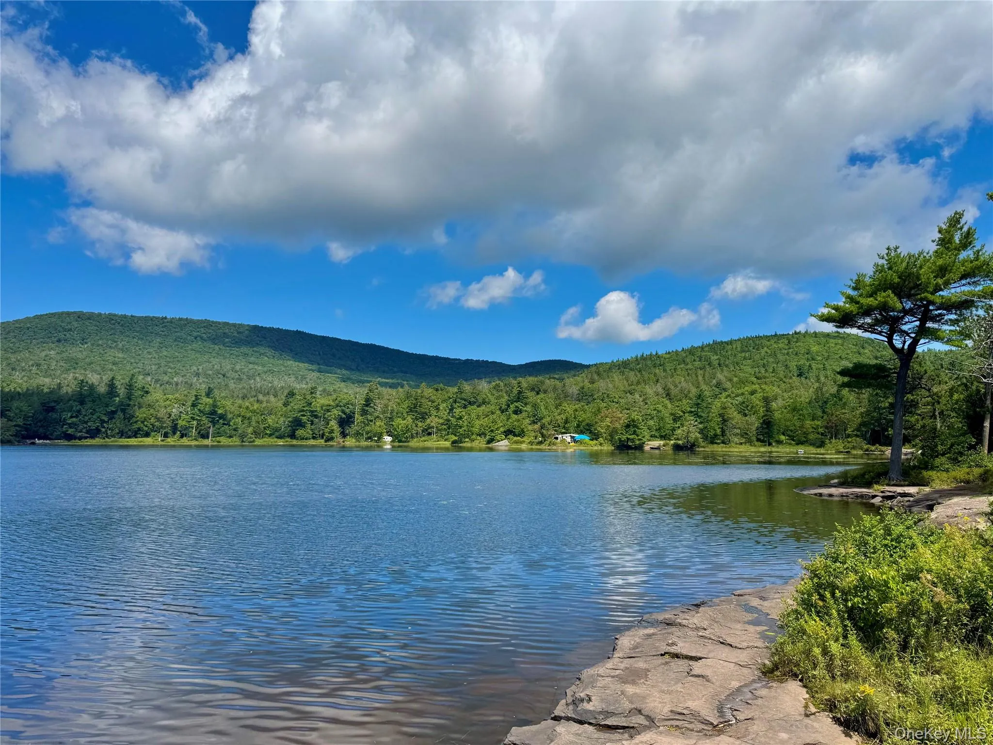 398 Lake Road, Hunter, NY, 5 Bedrooms Bedrooms, 5 Rooms Rooms,2 BathroomsBathrooms,Residential,For Rent,Lake,0,1037491 398 Lake Road, Hunter, NY, 5 Bedrooms Bedrooms, 5 Rooms Rooms,2 BathroomsBathrooms,Residential,For Rent,Lake,0,1037491