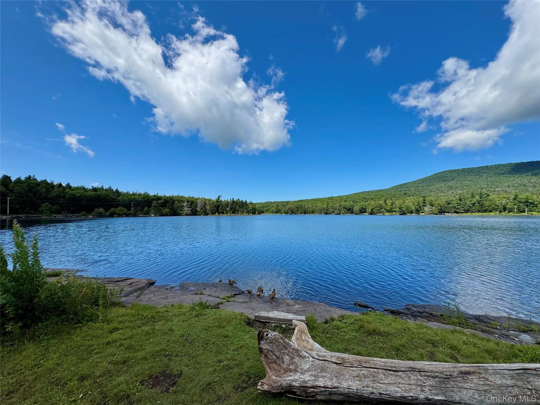 398 Lake Road, Hunter, NY, 5 Bedrooms Bedrooms, 5 Rooms Rooms,2 BathroomsBathrooms,Residential,For Rent,Lake,0,1037491 398 Lake Road, Hunter, NY, 5 Bedrooms Bedrooms, 5 Rooms Rooms,2 BathroomsBathrooms,Residential,For Rent,Lake,0,1037491