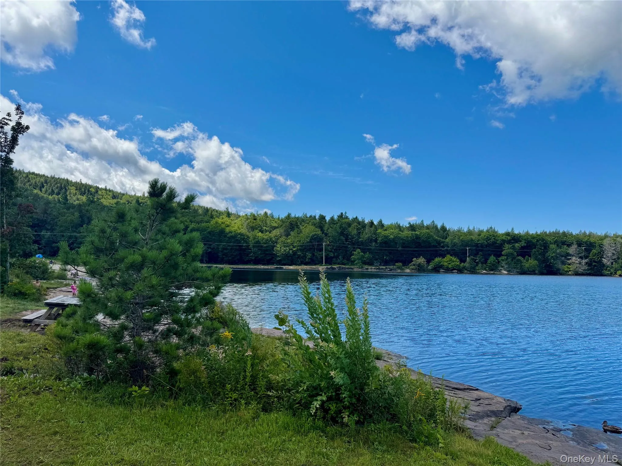 398 Lake Road, Hunter, NY, 5 Bedrooms Bedrooms, 5 Rooms Rooms,2 BathroomsBathrooms,Residential,For Rent,Lake,0,1037491 398 Lake Road, Hunter, NY, 5 Bedrooms Bedrooms, 5 Rooms Rooms,2 BathroomsBathrooms,Residential,For Rent,Lake,0,1037491