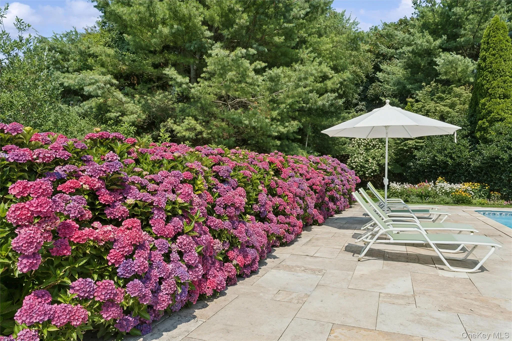 245 Meadows, Southampton, NY, 5 Bedrooms Bedrooms, 9 Rooms Rooms,4 BathroomsBathrooms,Residential,For Rent,Meadows,0,1037500 245 Meadows, Southampton, NY, 5 Bedrooms Bedrooms, 9 Rooms Rooms,4 BathroomsBathrooms,Residential,For Rent,Meadows,0,1037500