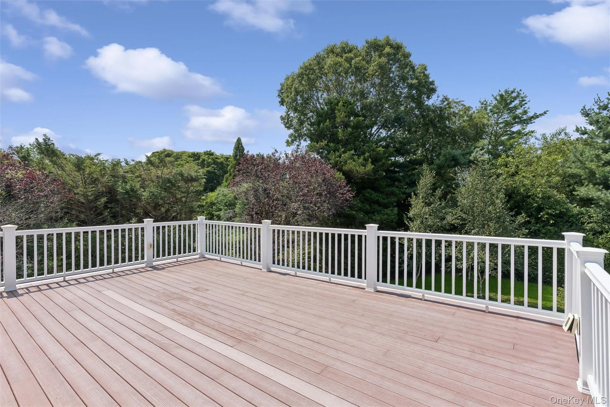 245 Meadows, Southampton, NY, 5 Bedrooms Bedrooms, 9 Rooms Rooms,4 BathroomsBathrooms,Residential,For Rent,Meadows,0,1037500 245 Meadows, Southampton, NY, 5 Bedrooms Bedrooms, 9 Rooms Rooms,4 BathroomsBathrooms,Residential,For Rent,Meadows,0,1037500