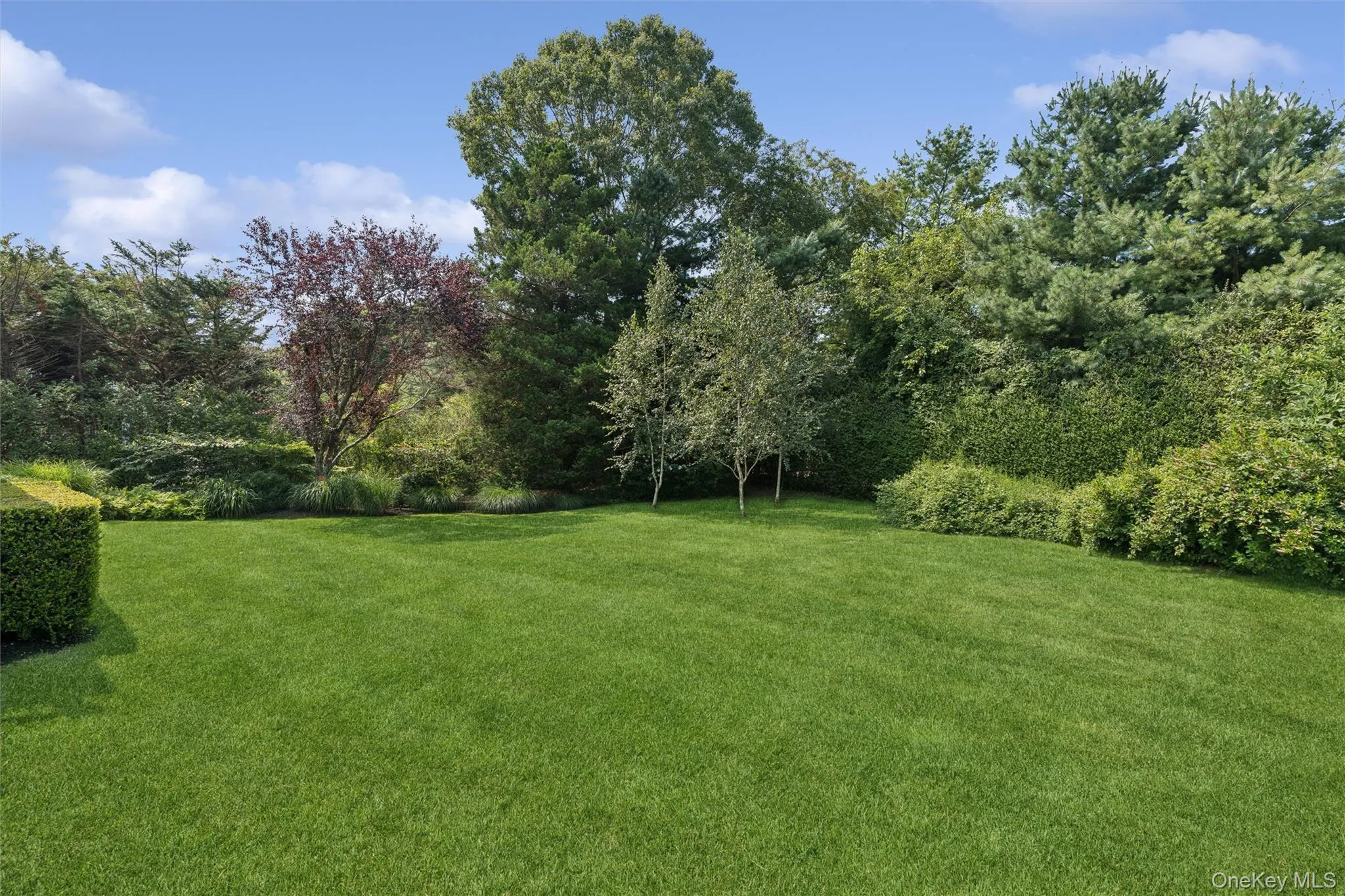 245 Meadows, Southampton, NY, 5 Bedrooms Bedrooms, 9 Rooms Rooms,4 BathroomsBathrooms,Residential,For Rent,Meadows,0,1037500 245 Meadows, Southampton, NY, 5 Bedrooms Bedrooms, 9 Rooms Rooms,4 BathroomsBathrooms,Residential,For Rent,Meadows,0,1037500