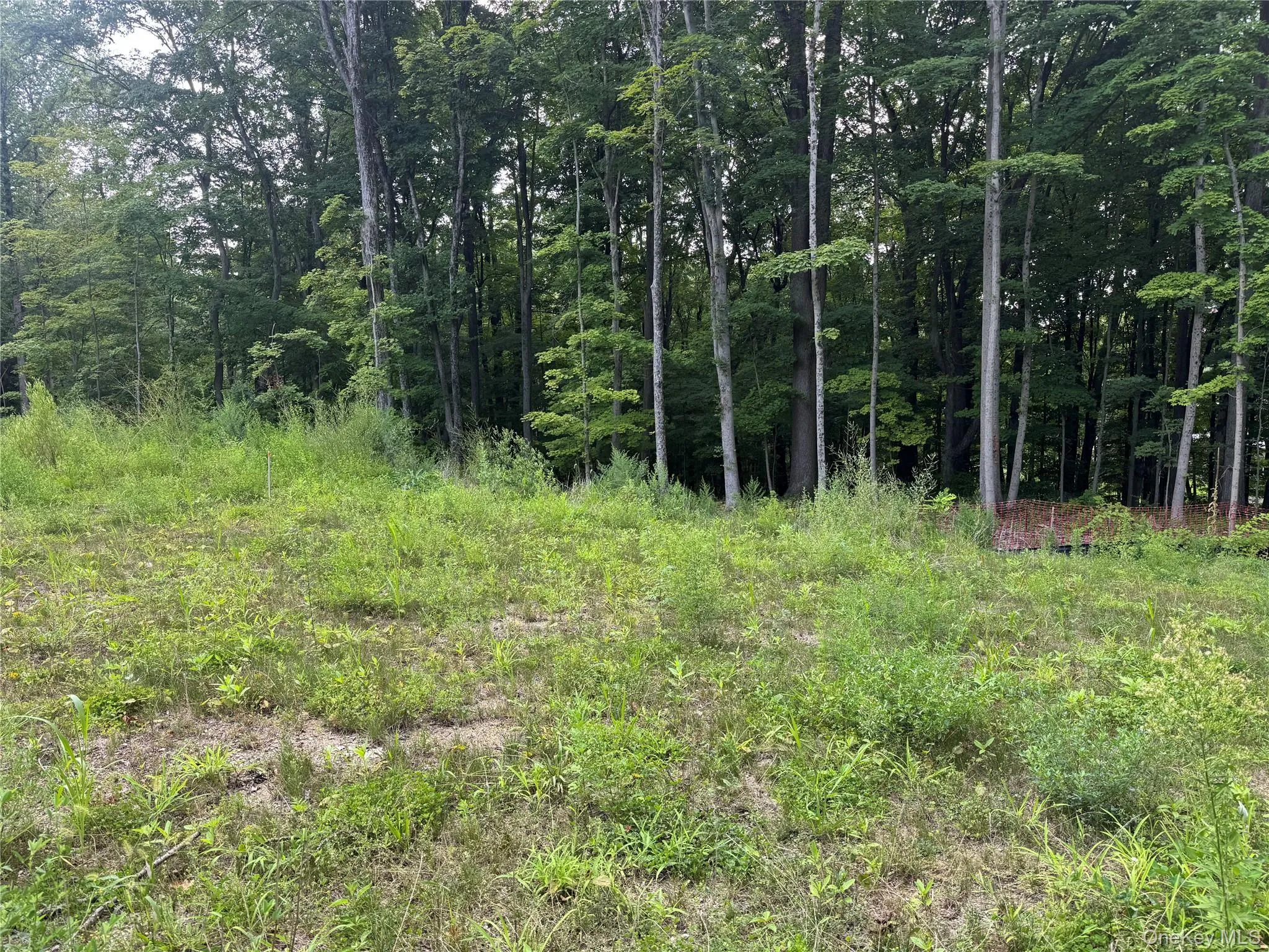 All the approvals are in place. Now it’s time to bring your dream home to life. All the approvals are in place. Now it’s time to bring your dream home to life.