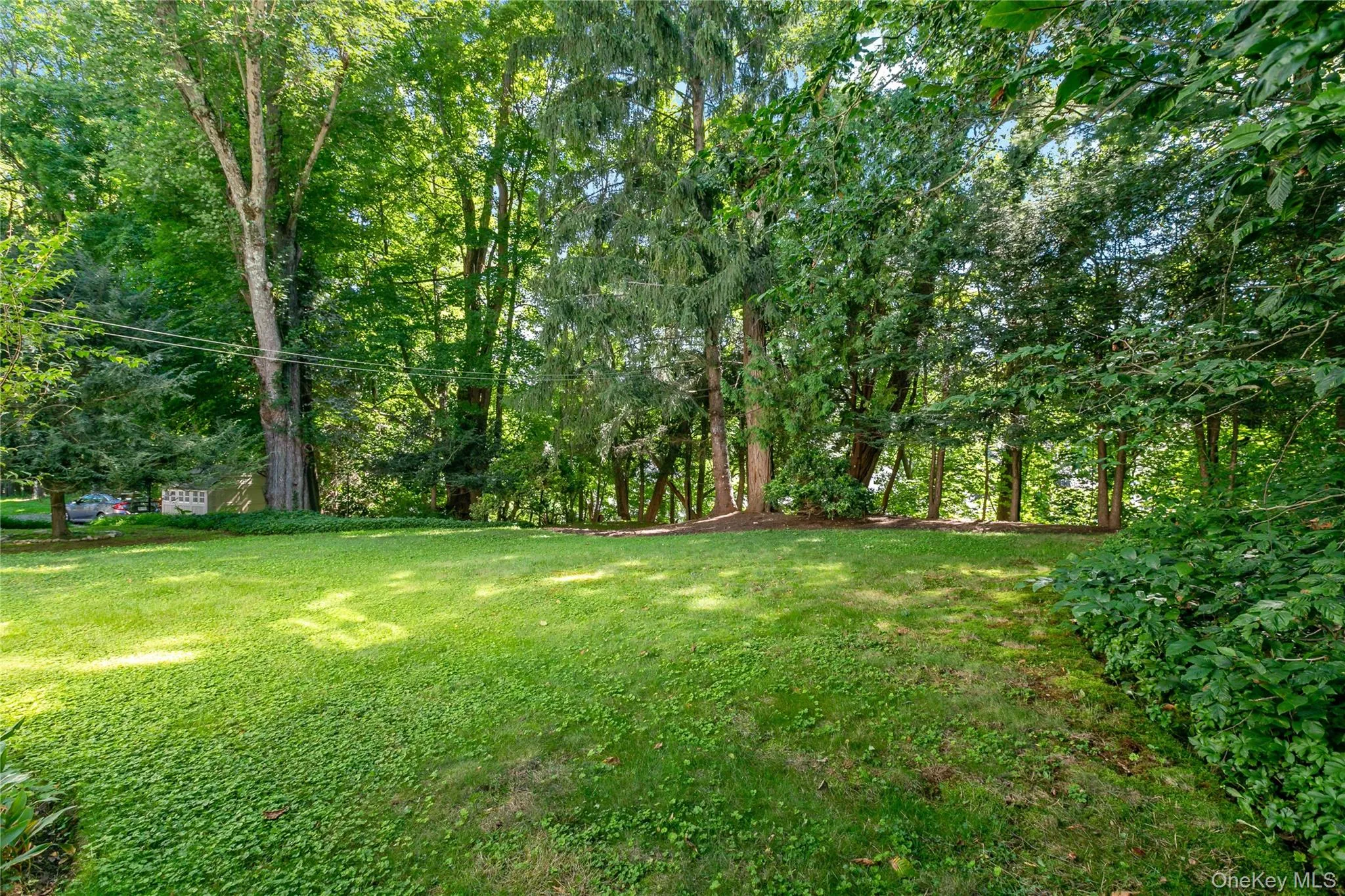 back yard back yard