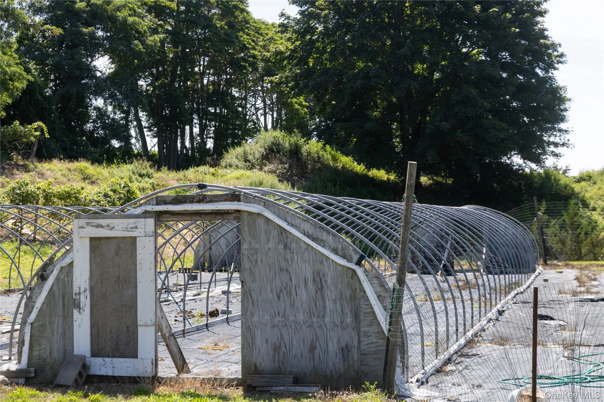 Hoop house, one of five Hoop house, one of five