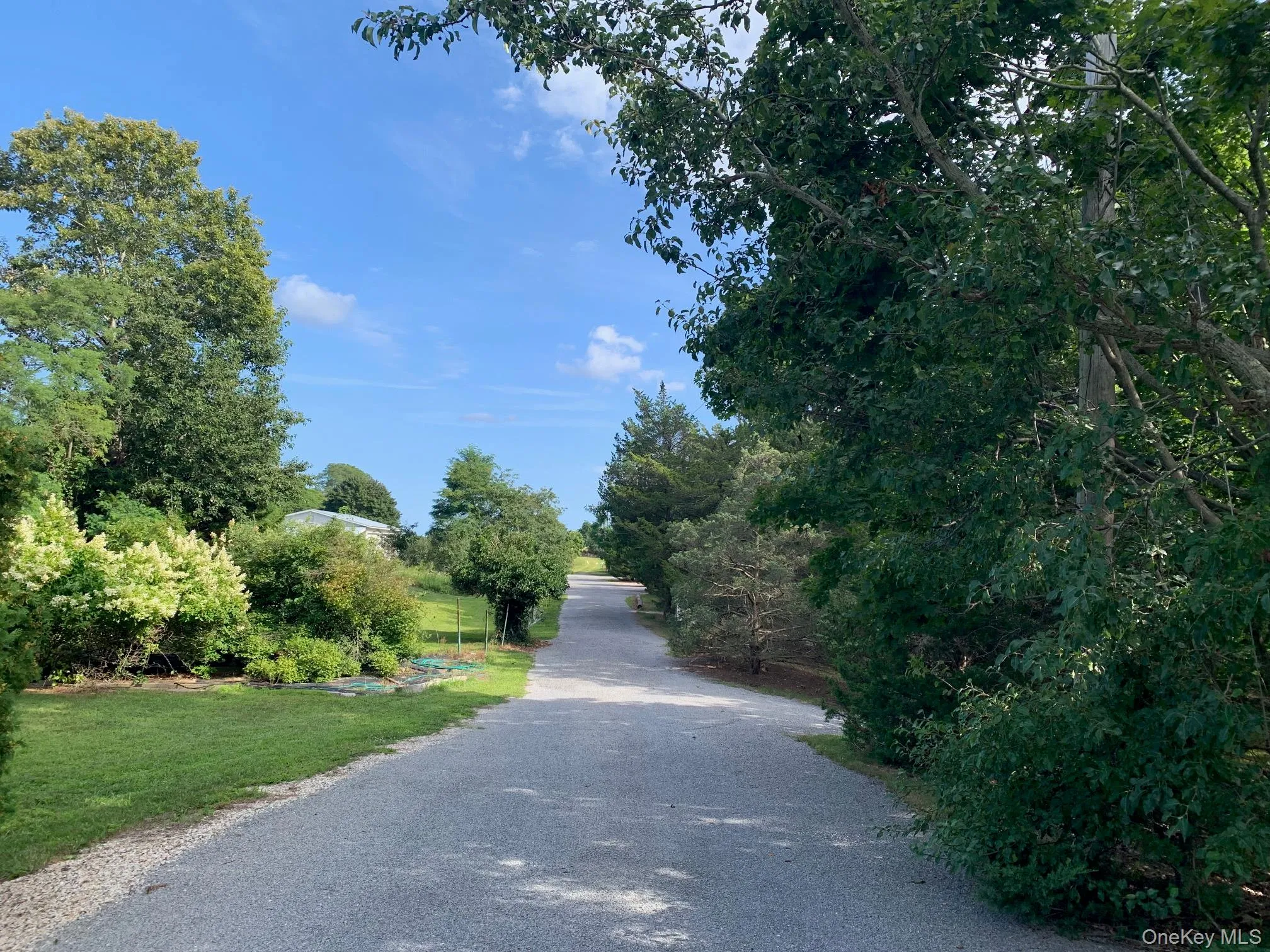 Long view from Route 25 of Property access drive Long view from Route 25 of Property access drive