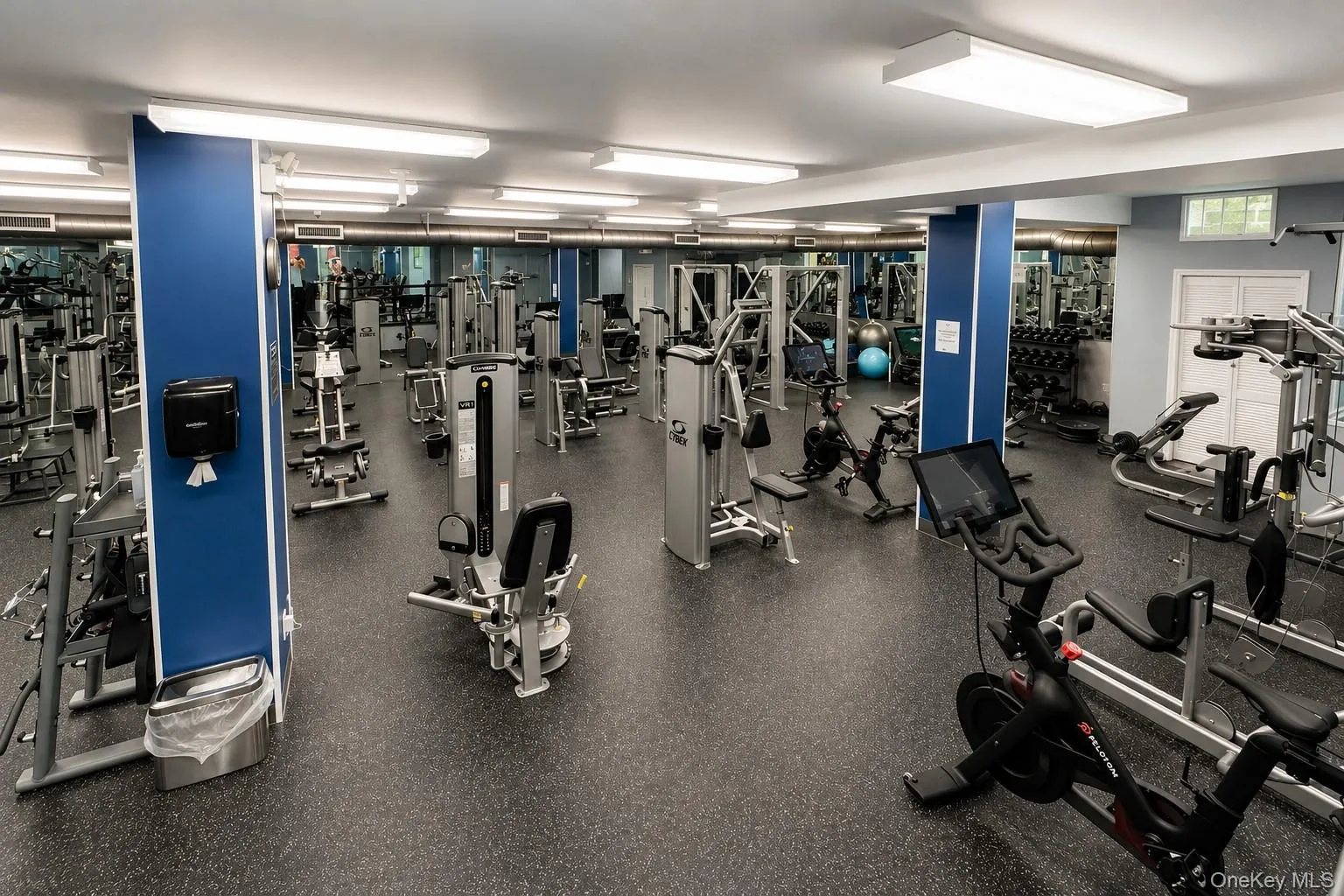 Gym Gym